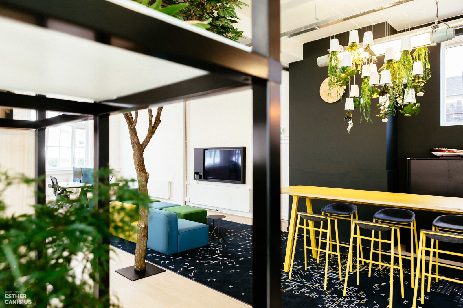 荷兰 Imkey 办公室 | 古典建筑中的现代绿意空间-15