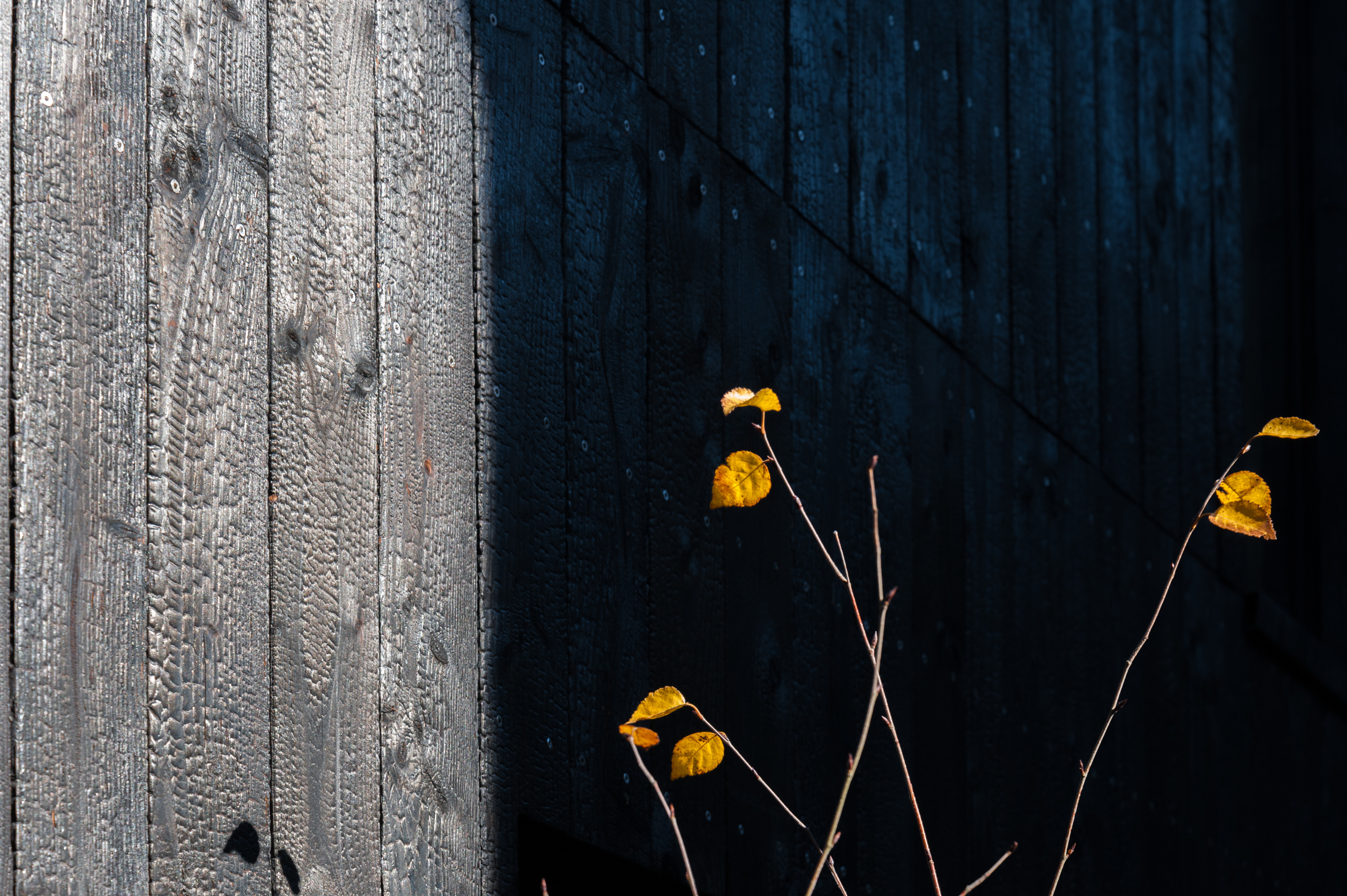 传统工坊风格办公室，内院采用 burnt cedar 技术-0