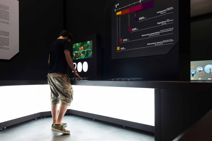 Talking Brains 展览设计-88