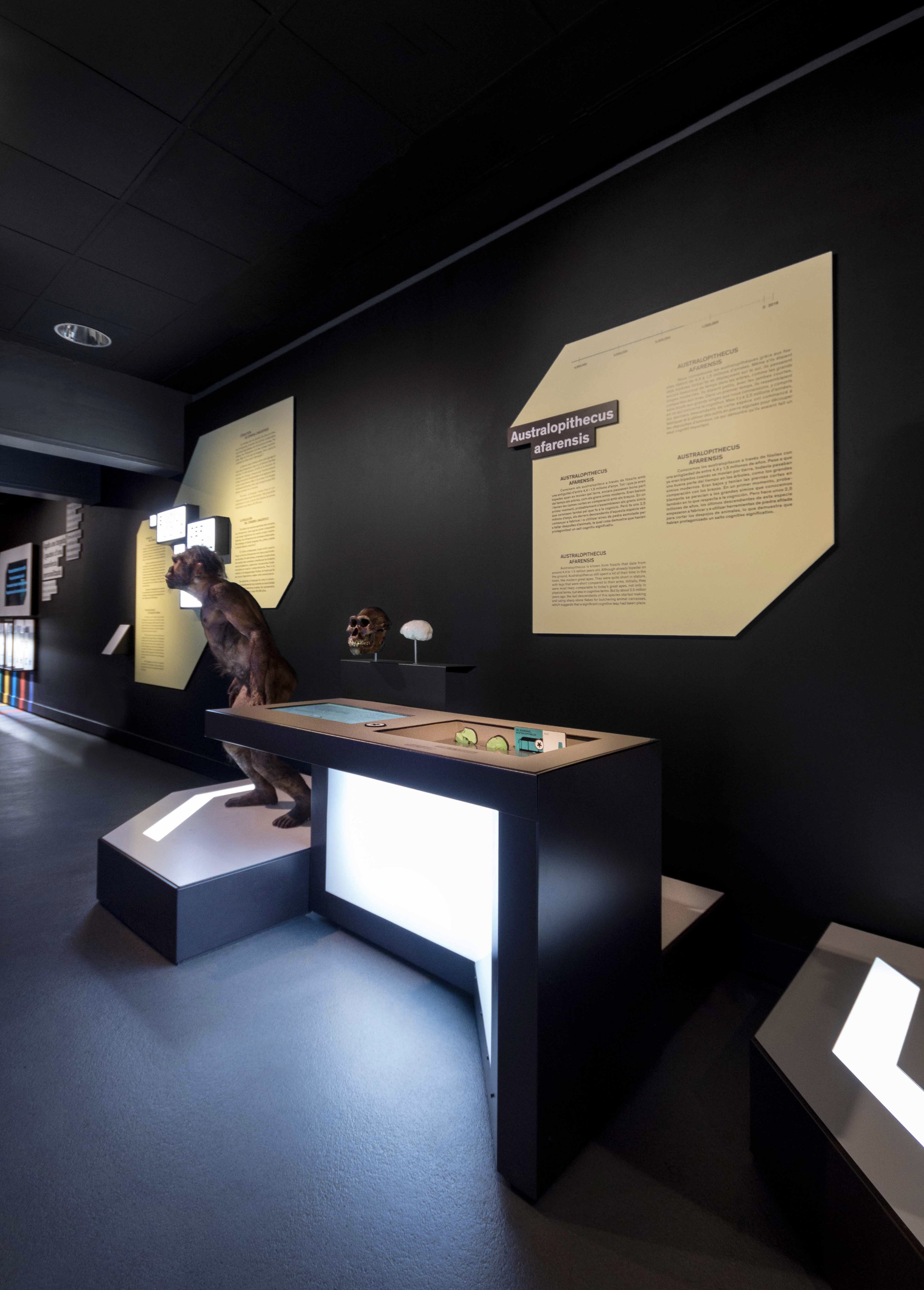 Talking Brains 展览设计-29