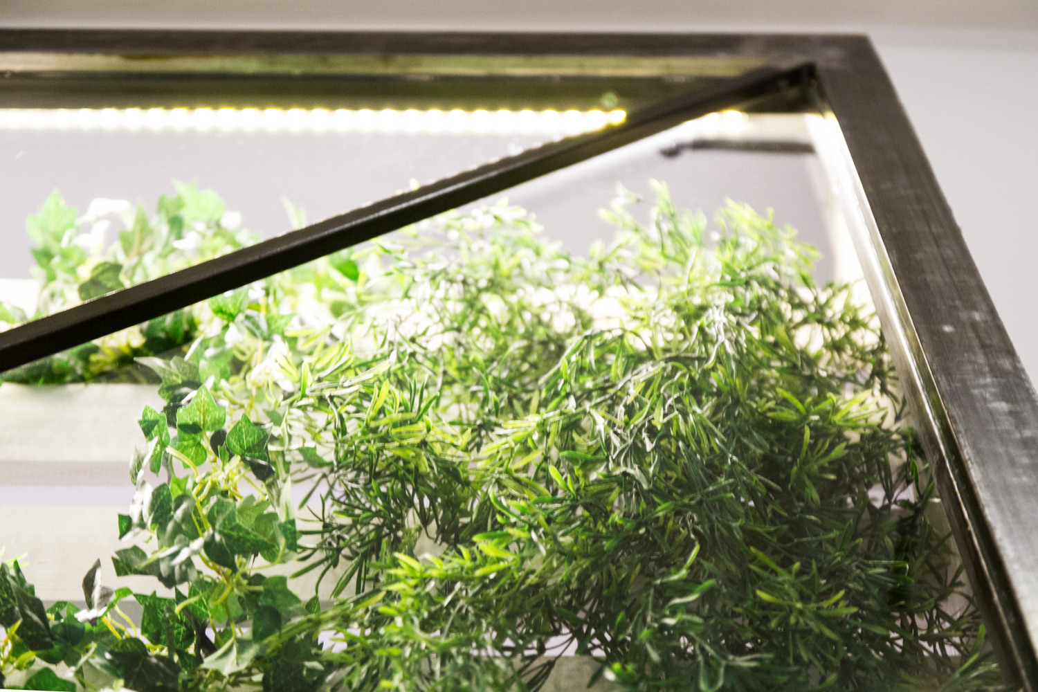 绿意盎然的空间艺术-38