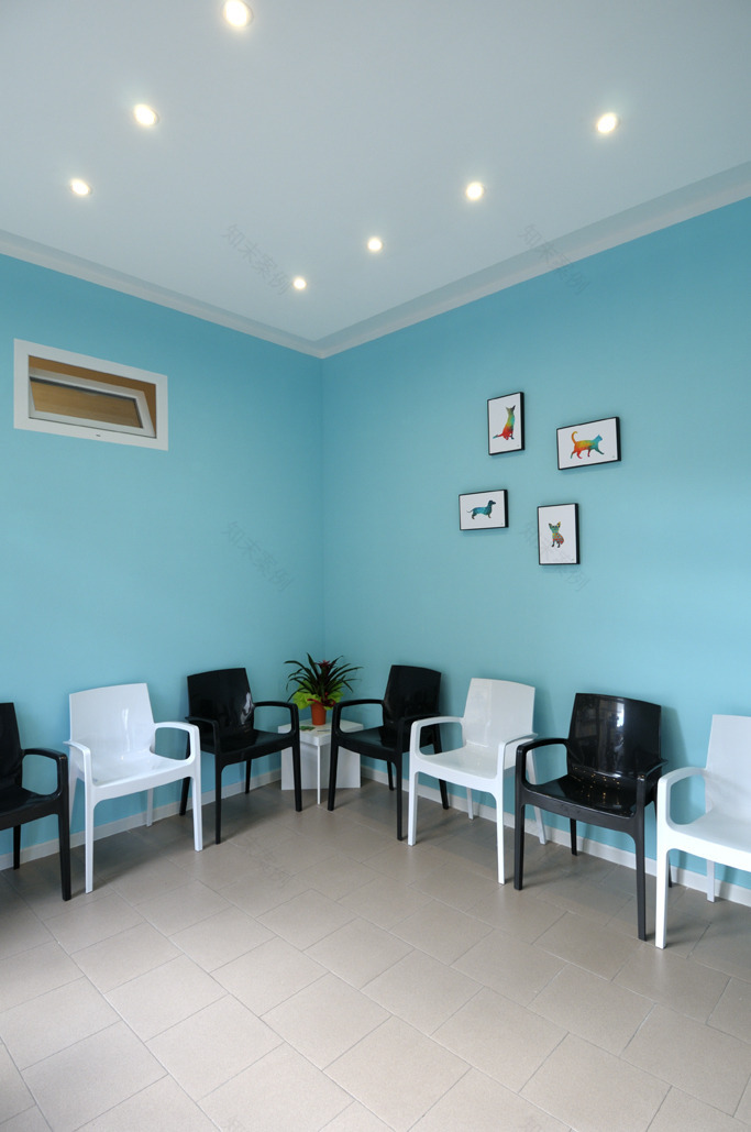 90 平米兽医诊所的舒适空间设计-1