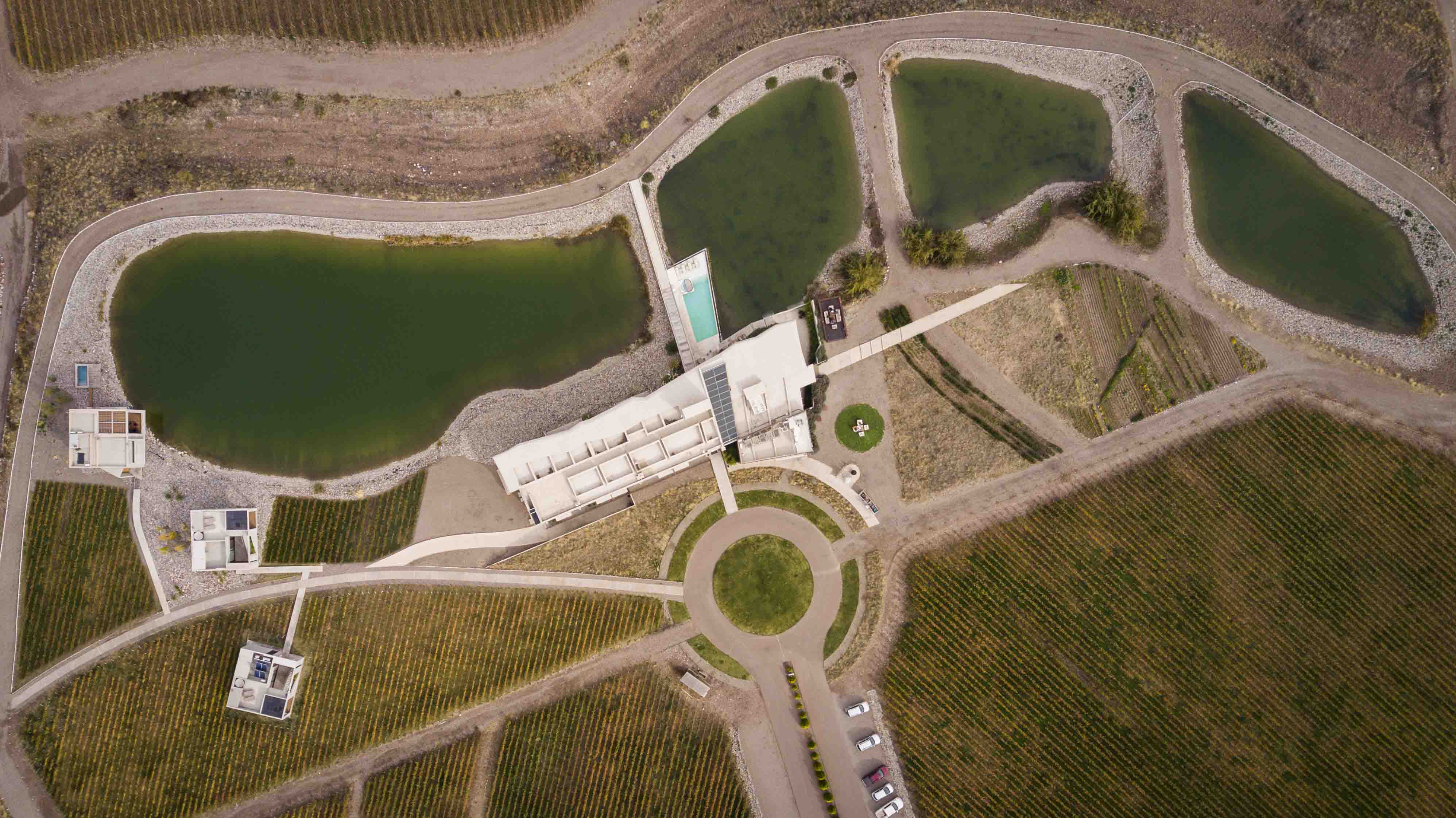 高山葡萄园里的绿色环保别墅-2