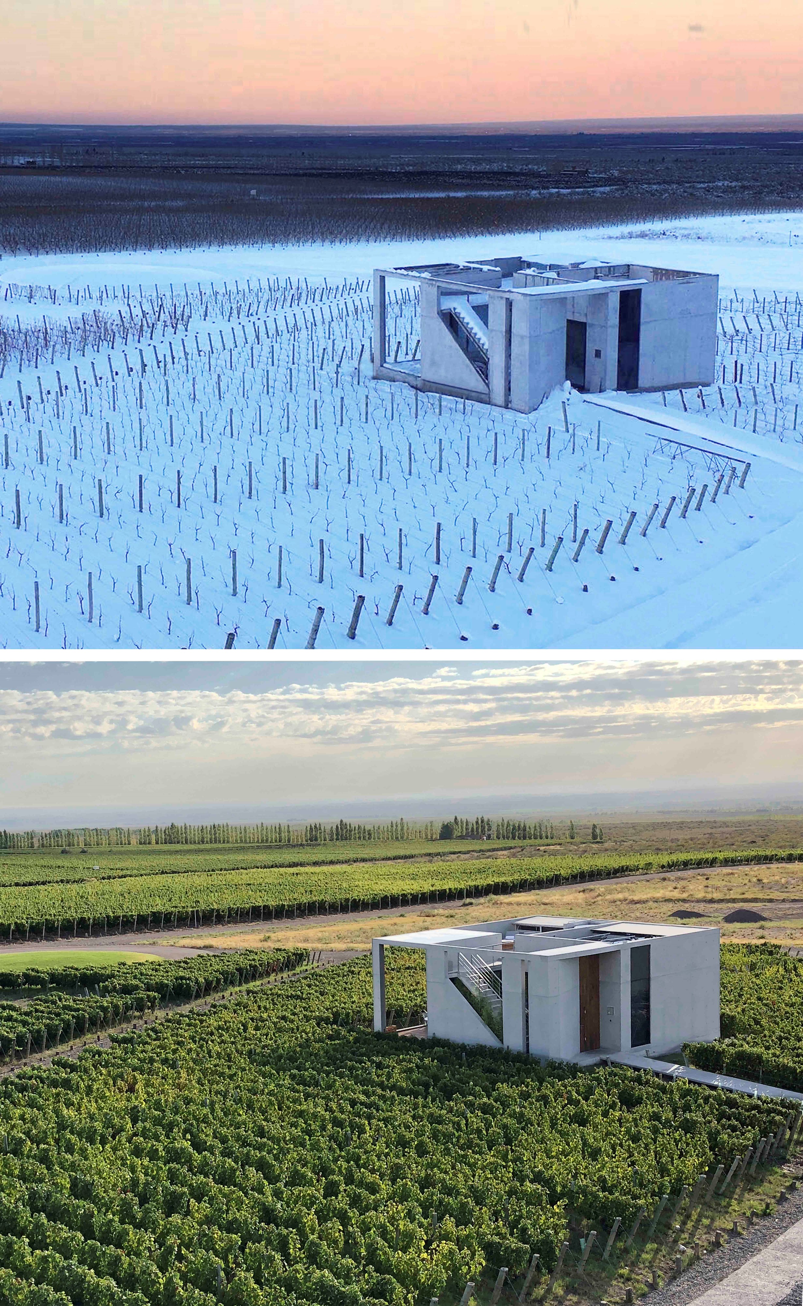 高山葡萄园里的绿色环保别墅-11