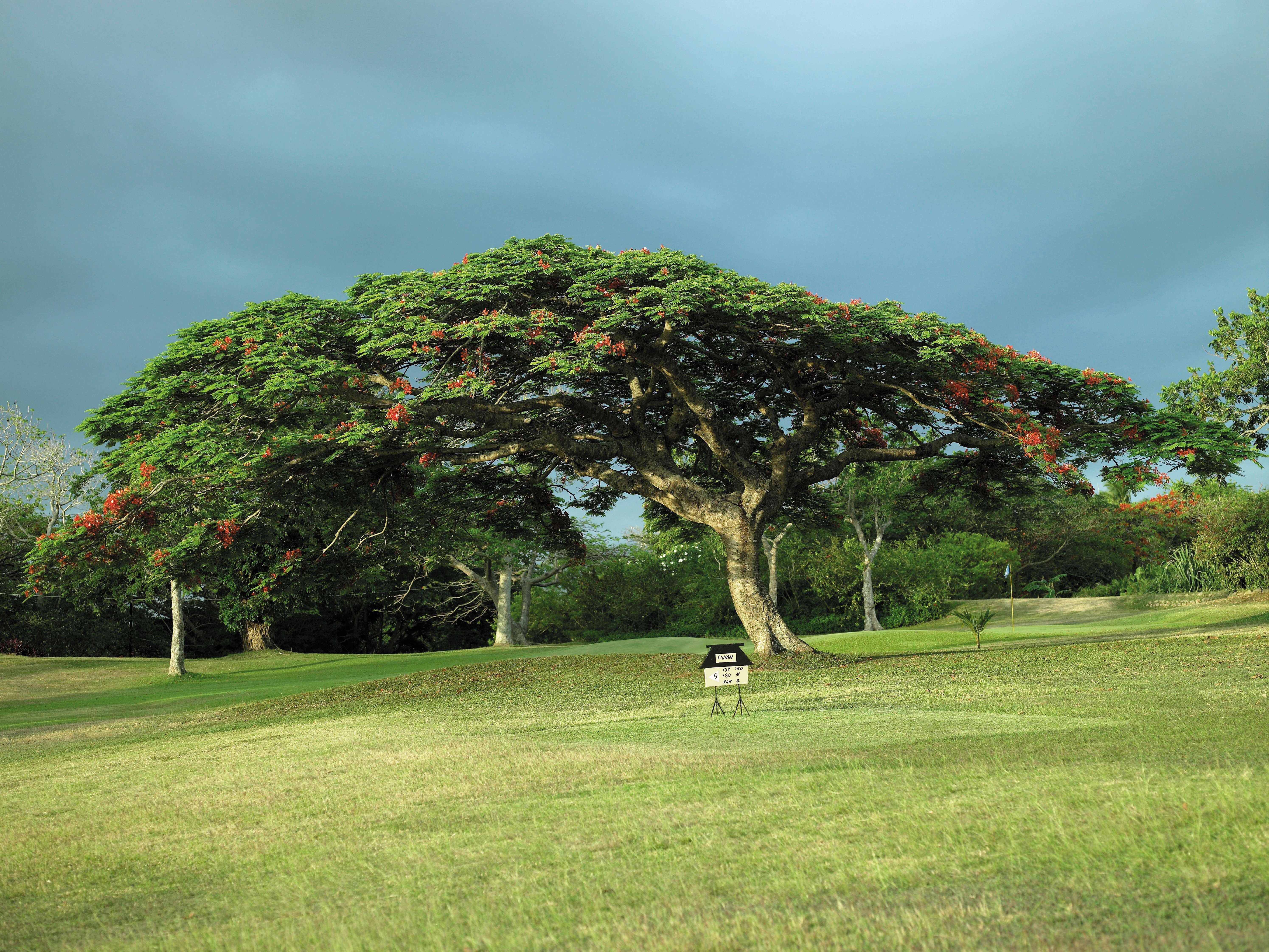 雅努卡Shangri La's Fijian Resort - Spa, Yanuca   1 16G-2