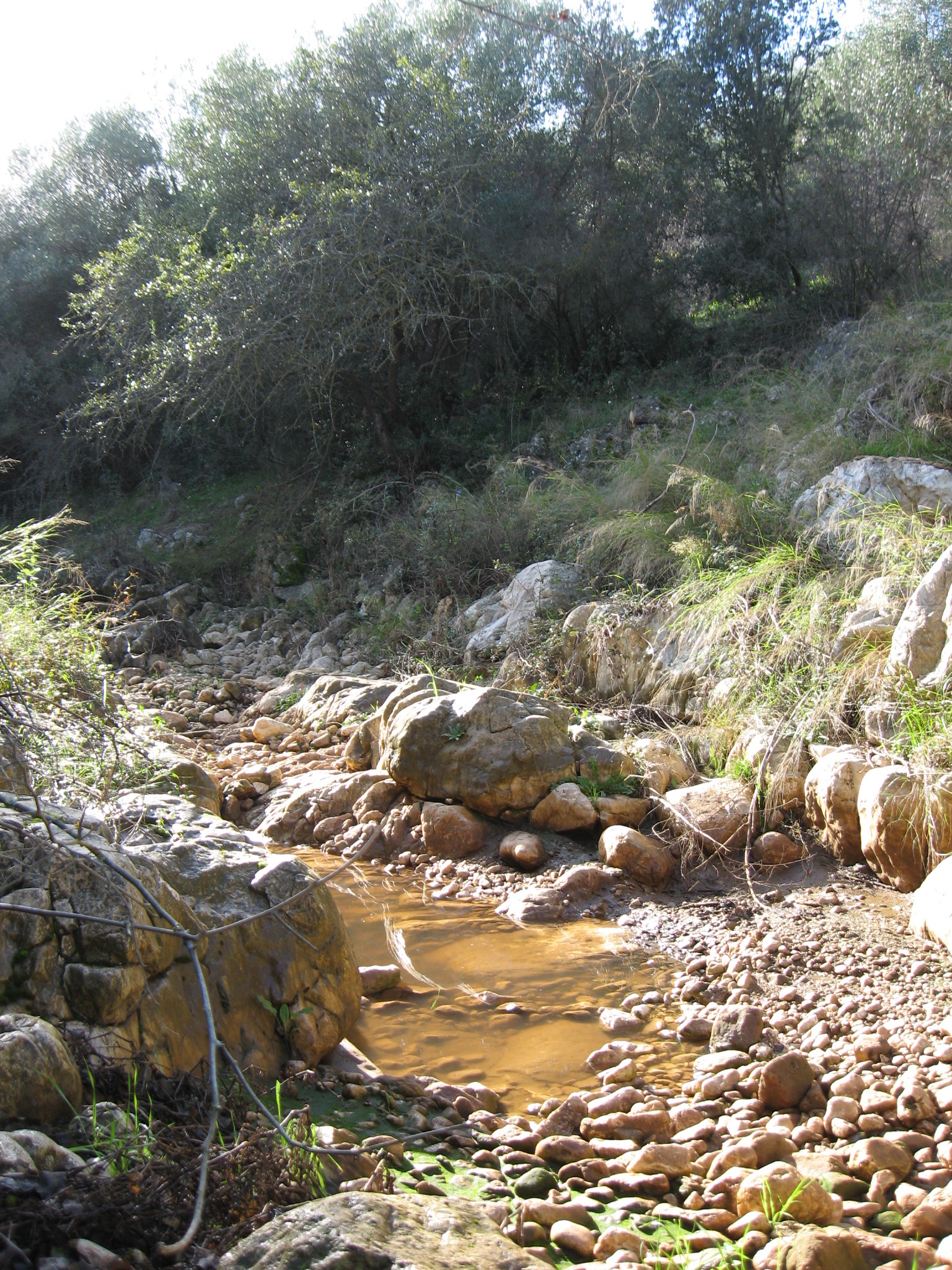 城市空间重塑 | 以河流恢复为契机的公园规划-7