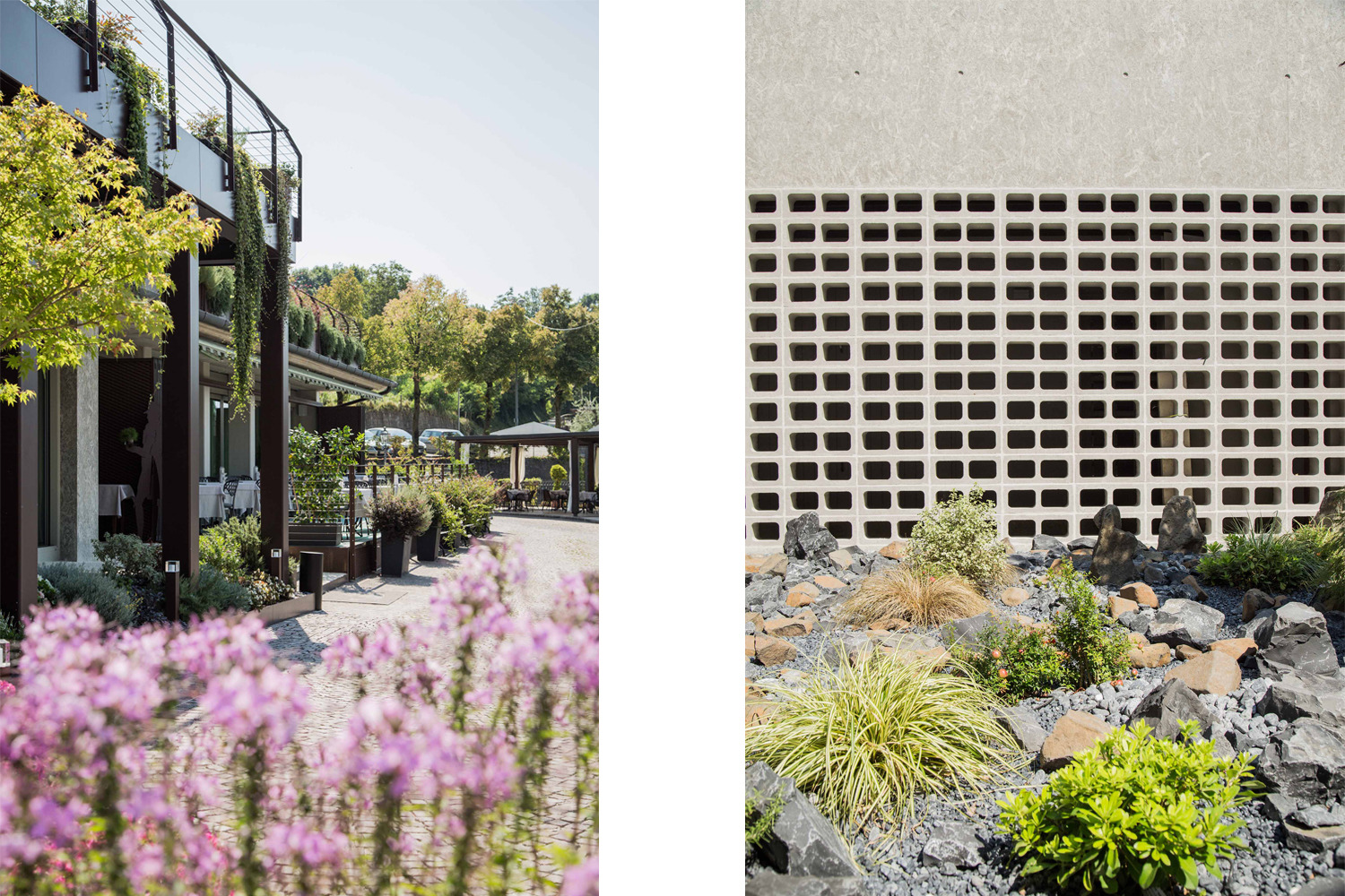 意大利百年餐厅“La Rosina”的现代复兴-8