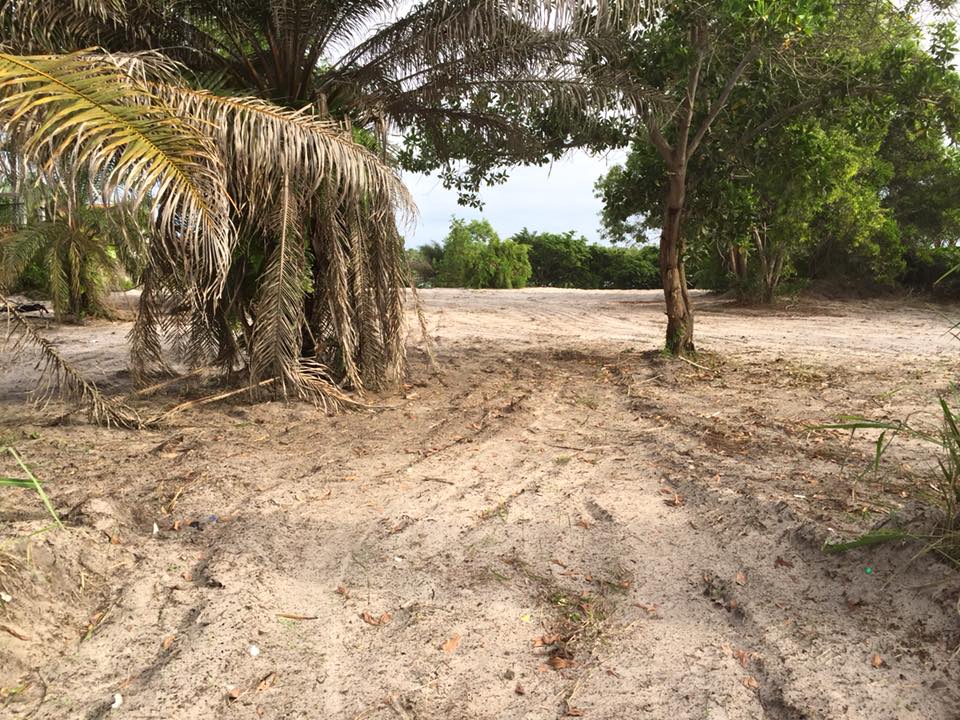 弗拉基米尔海滨别墅（Assinie）-23