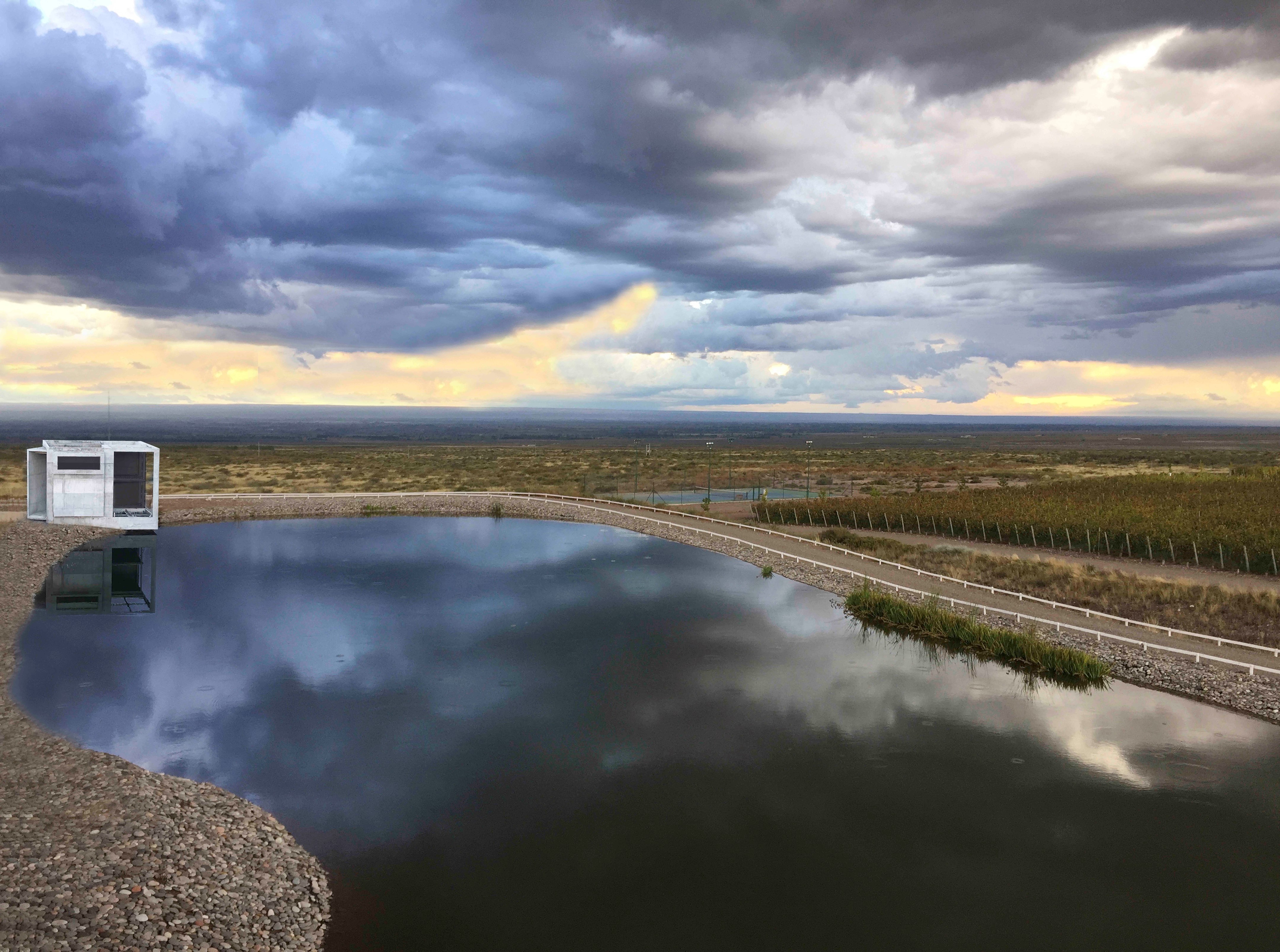 高山葡萄园里的绿色环保别墅-13