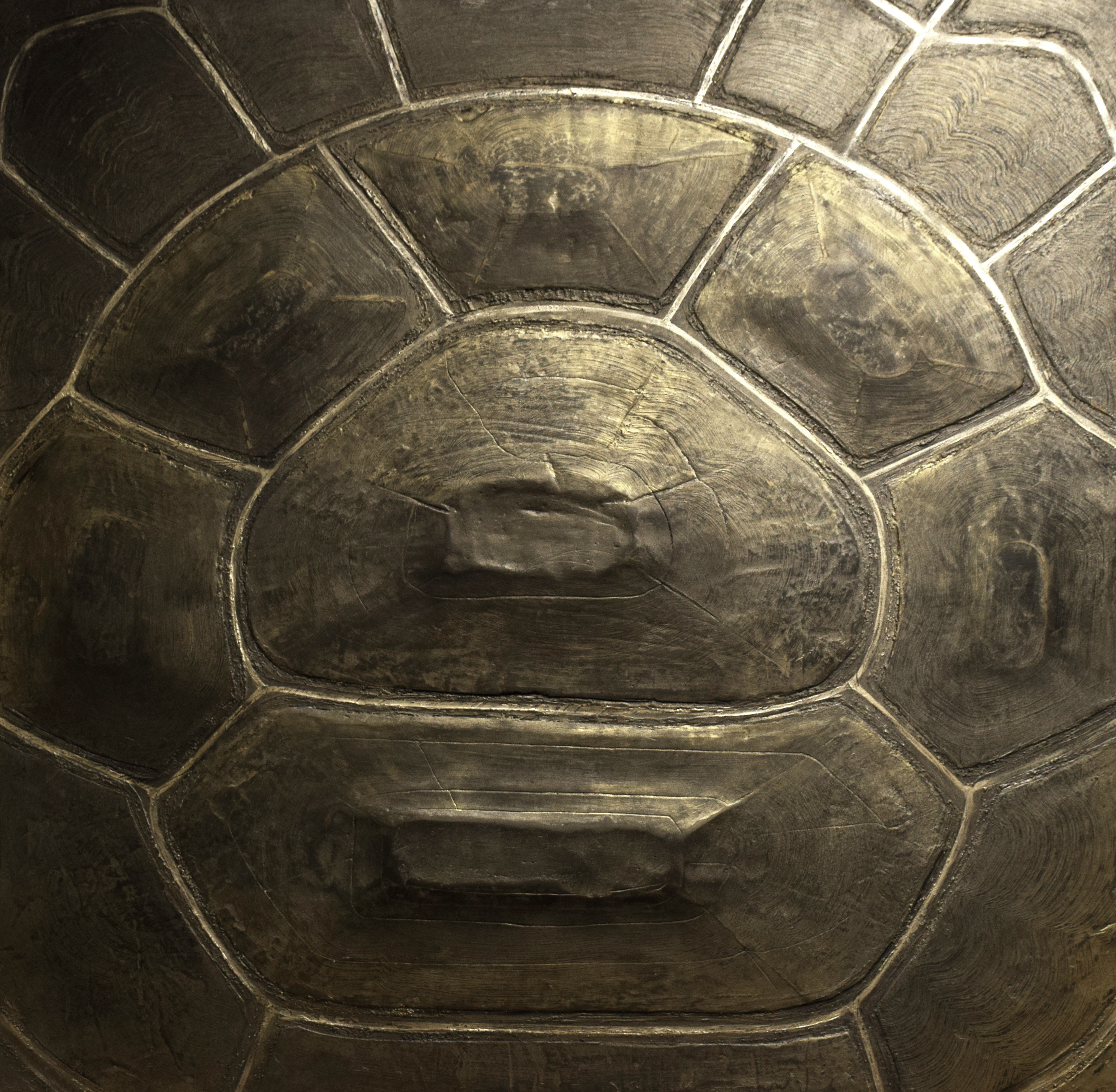 Oman Air 贵宾室-7