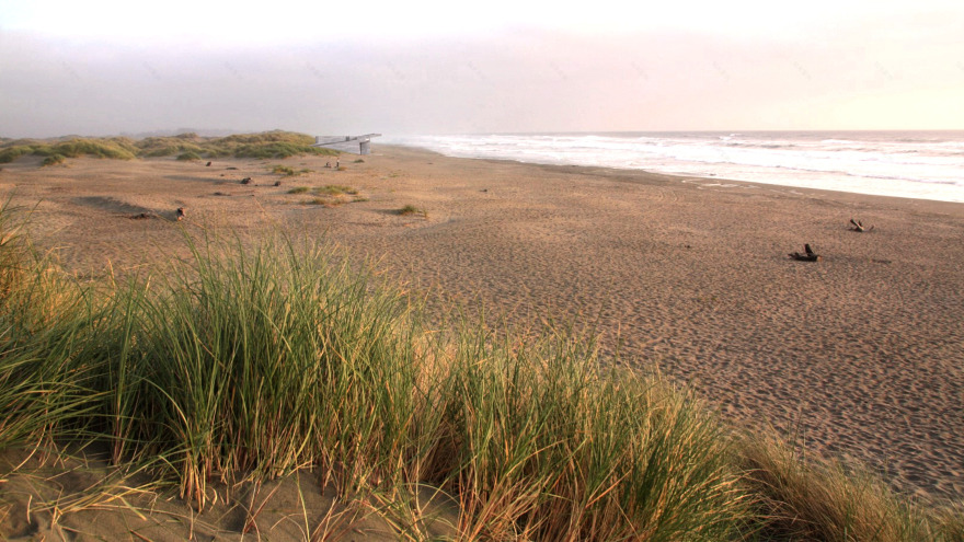 海洋边的“魟鱼”别墅-7