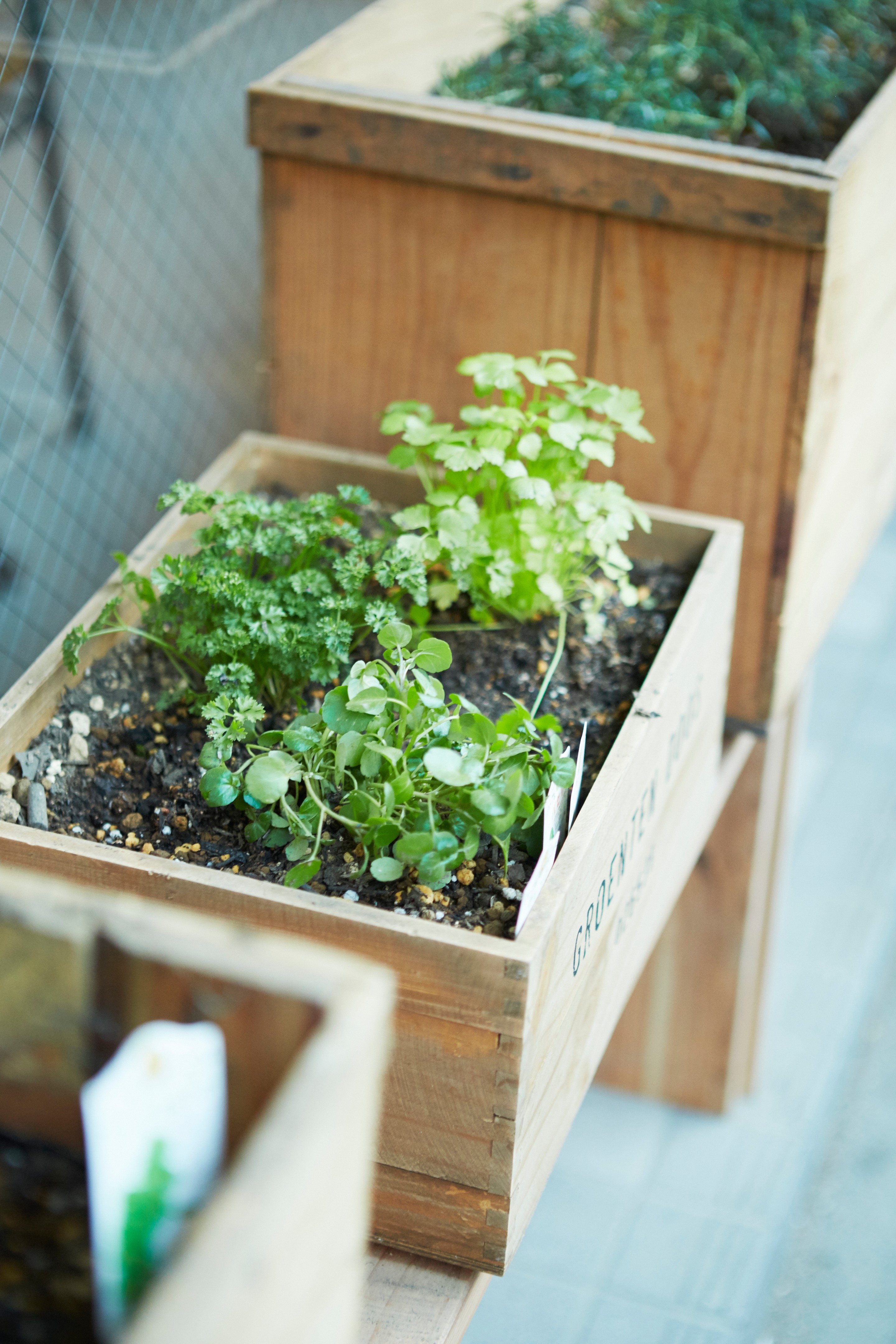 东京潮流地段的环保咖啡馆设计-4