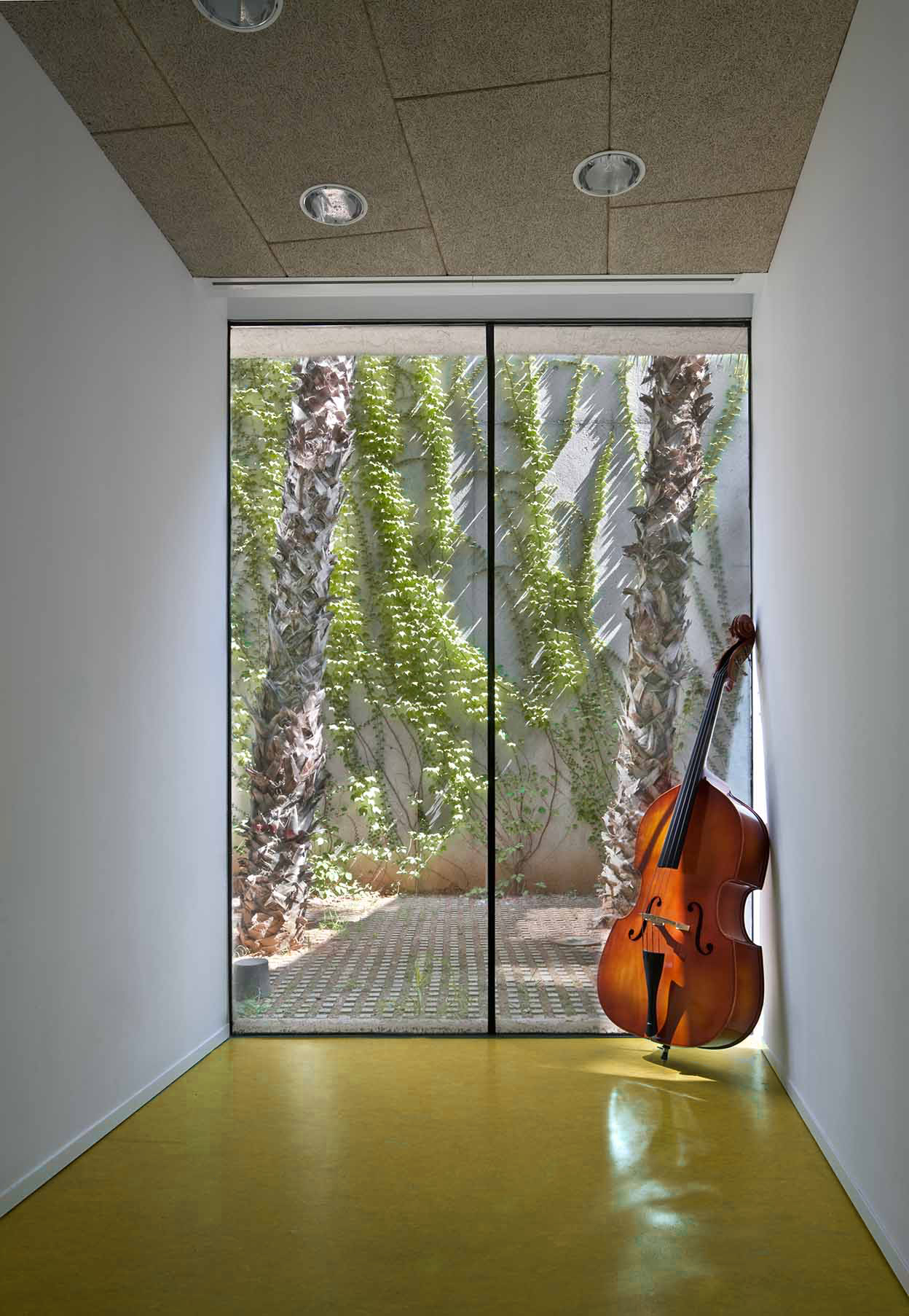 音乐学校的公共空间营造-15