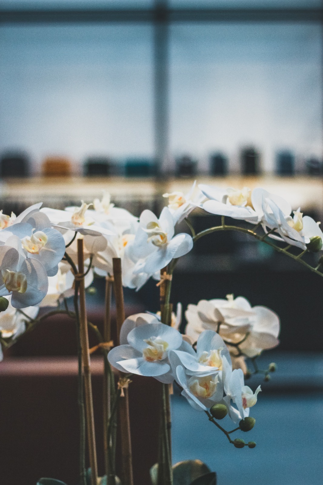 废弃工业建筑的时尚变身——Ghelfi 服装店室内设计-10