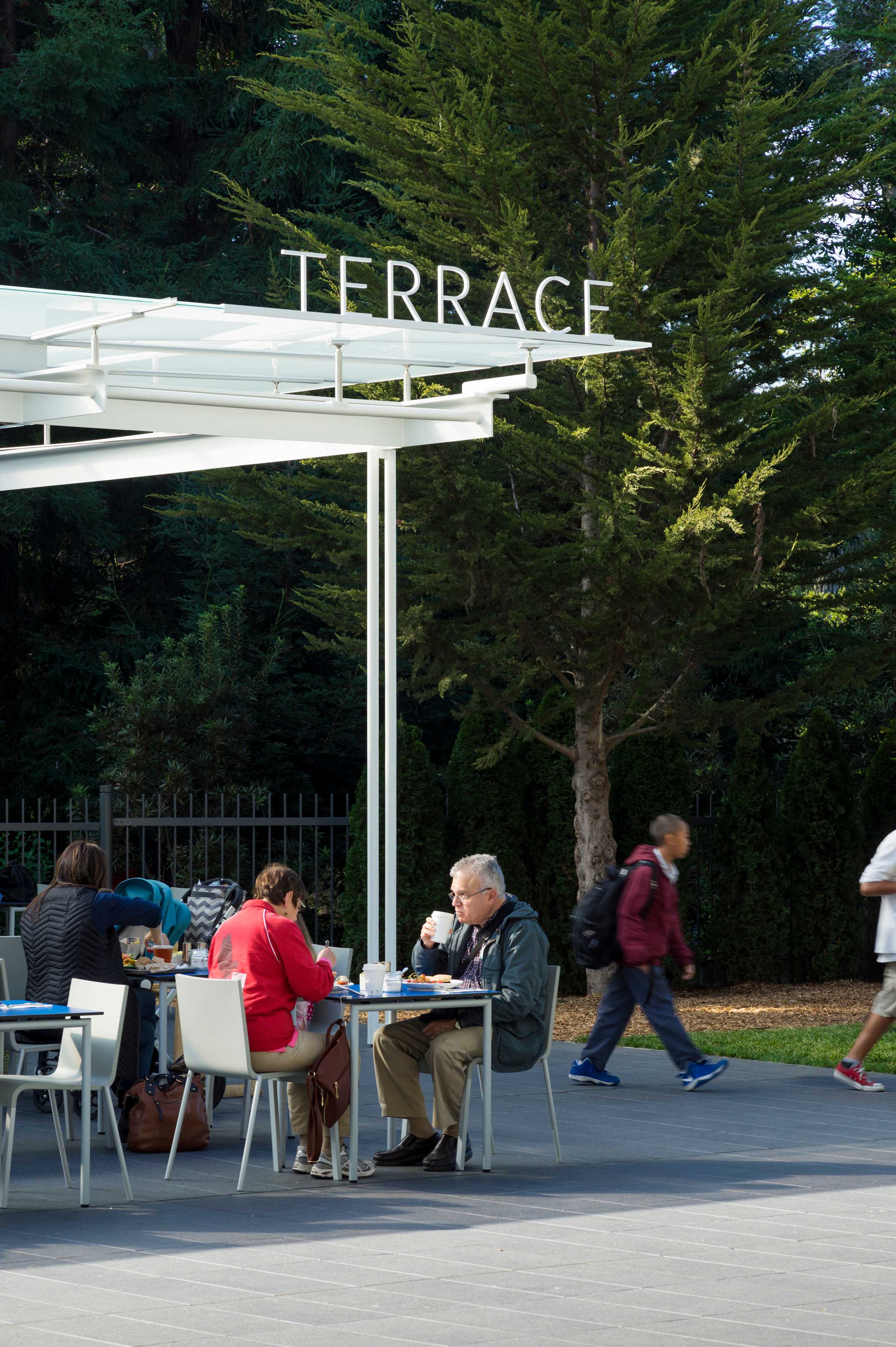 加州科学院露台-8