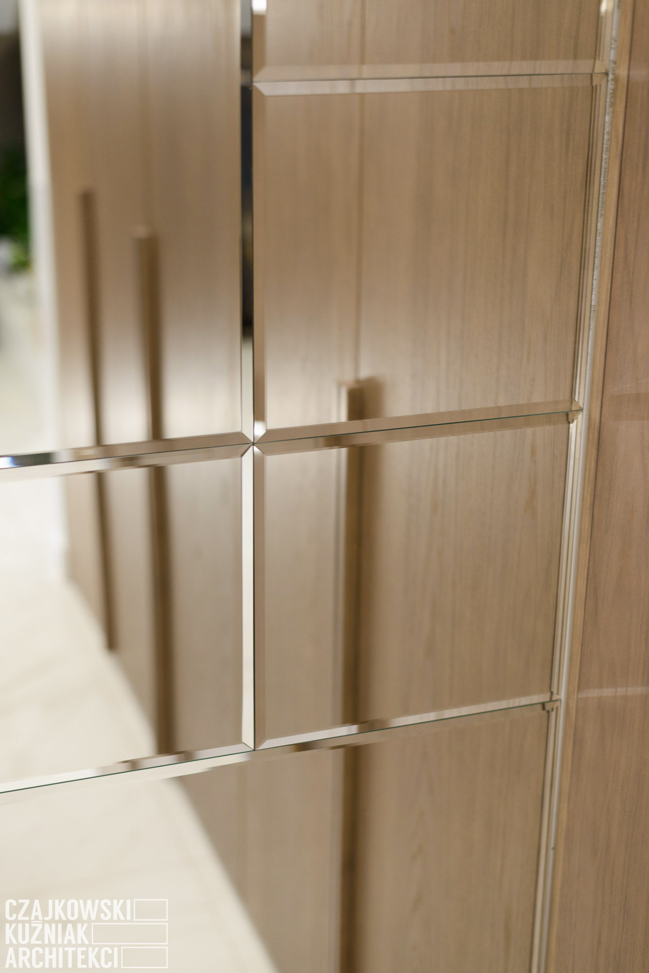 卡托维兹私人住宅的精致室内设计-4