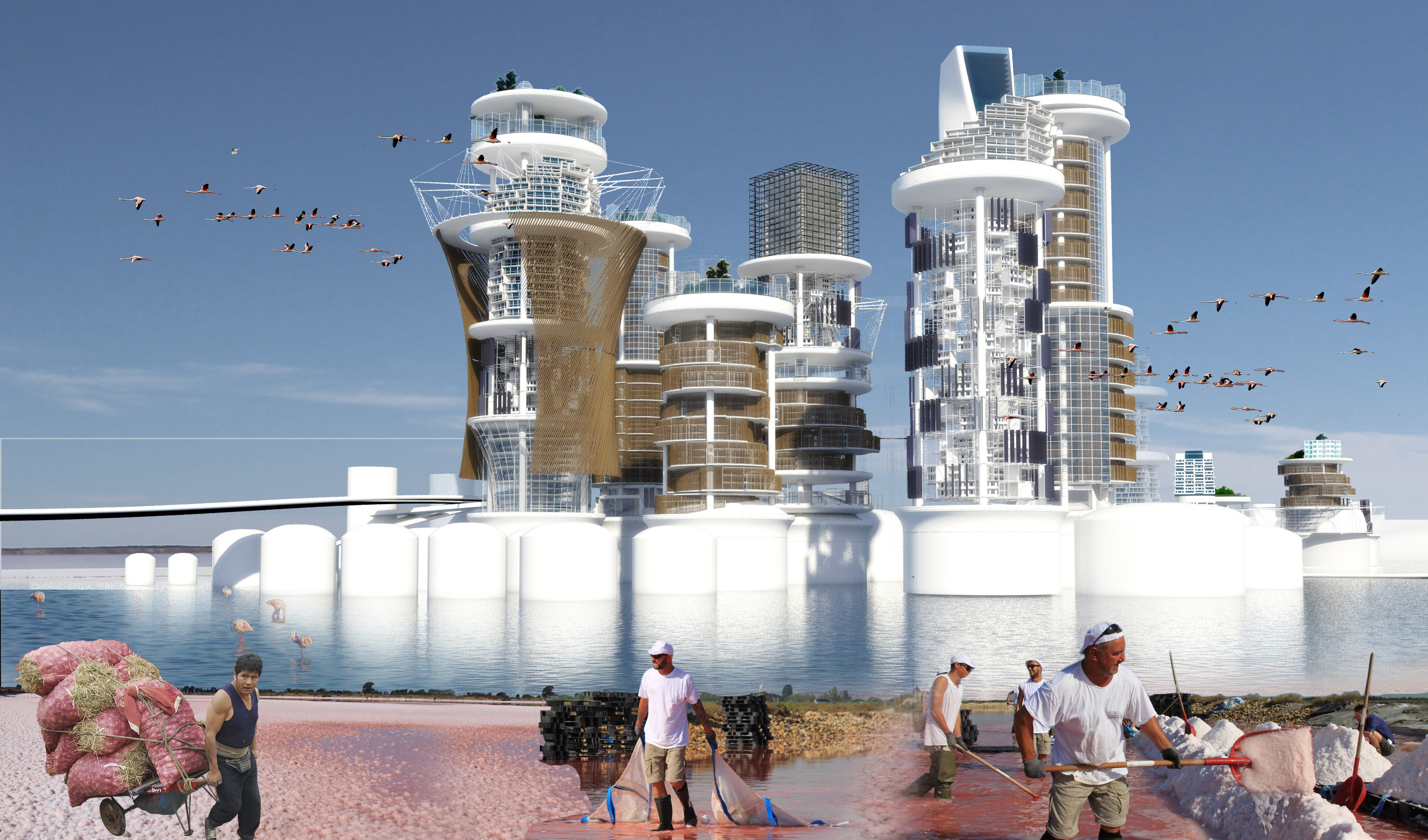 弗拉明戈波利斯·FOS 2100-14