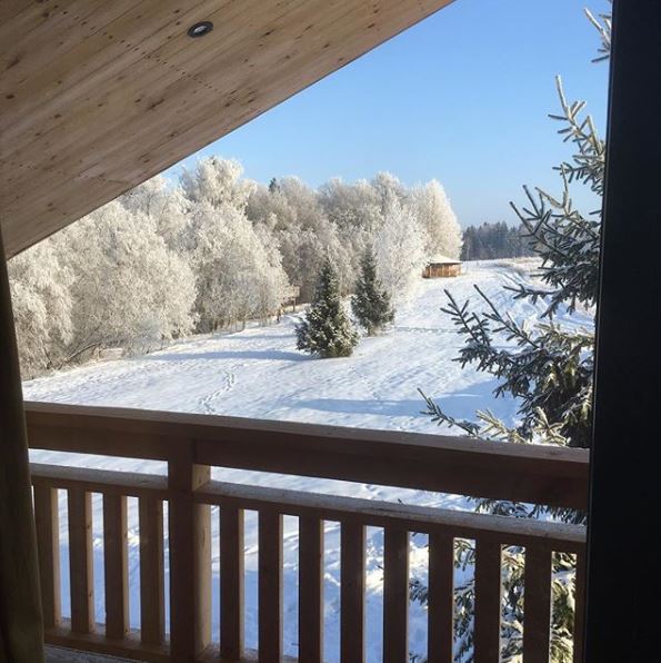 阿尔卑斯山风格木屋酒店与树屋设计-10