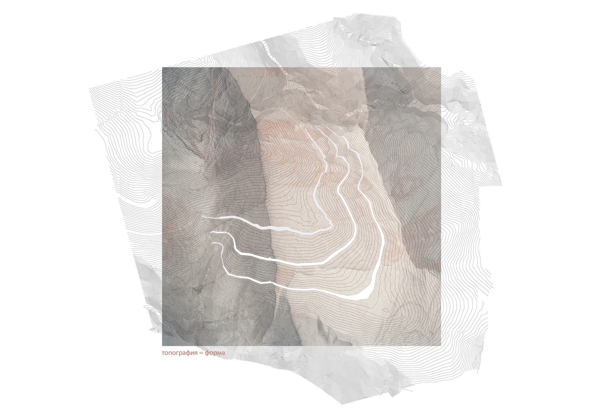 融合自然的现代酒庄设计-8