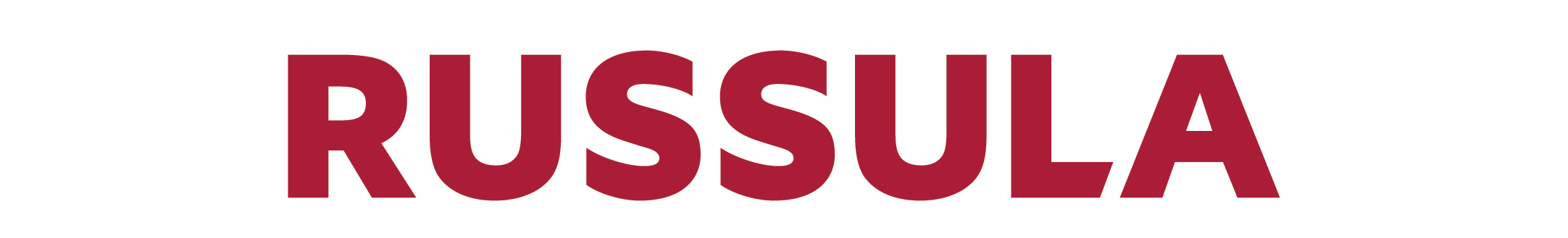 Russula 西班牙展台设计 | 光与影的巧妙互动-0