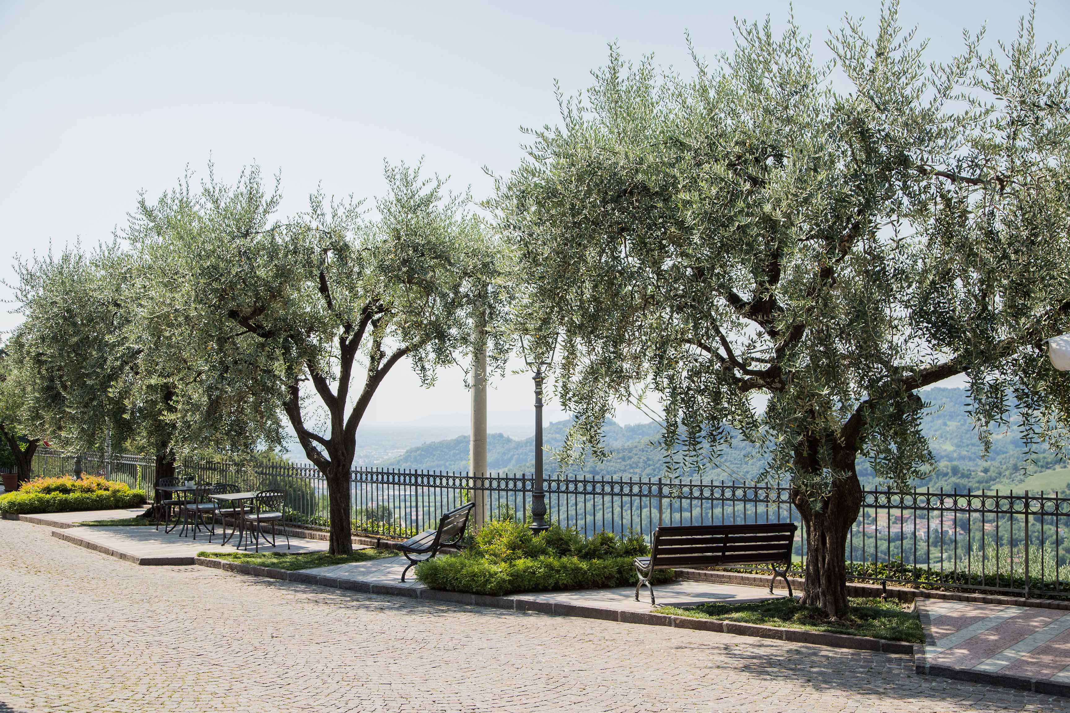 意大利百年餐厅“La Rosina”的现代复兴-11