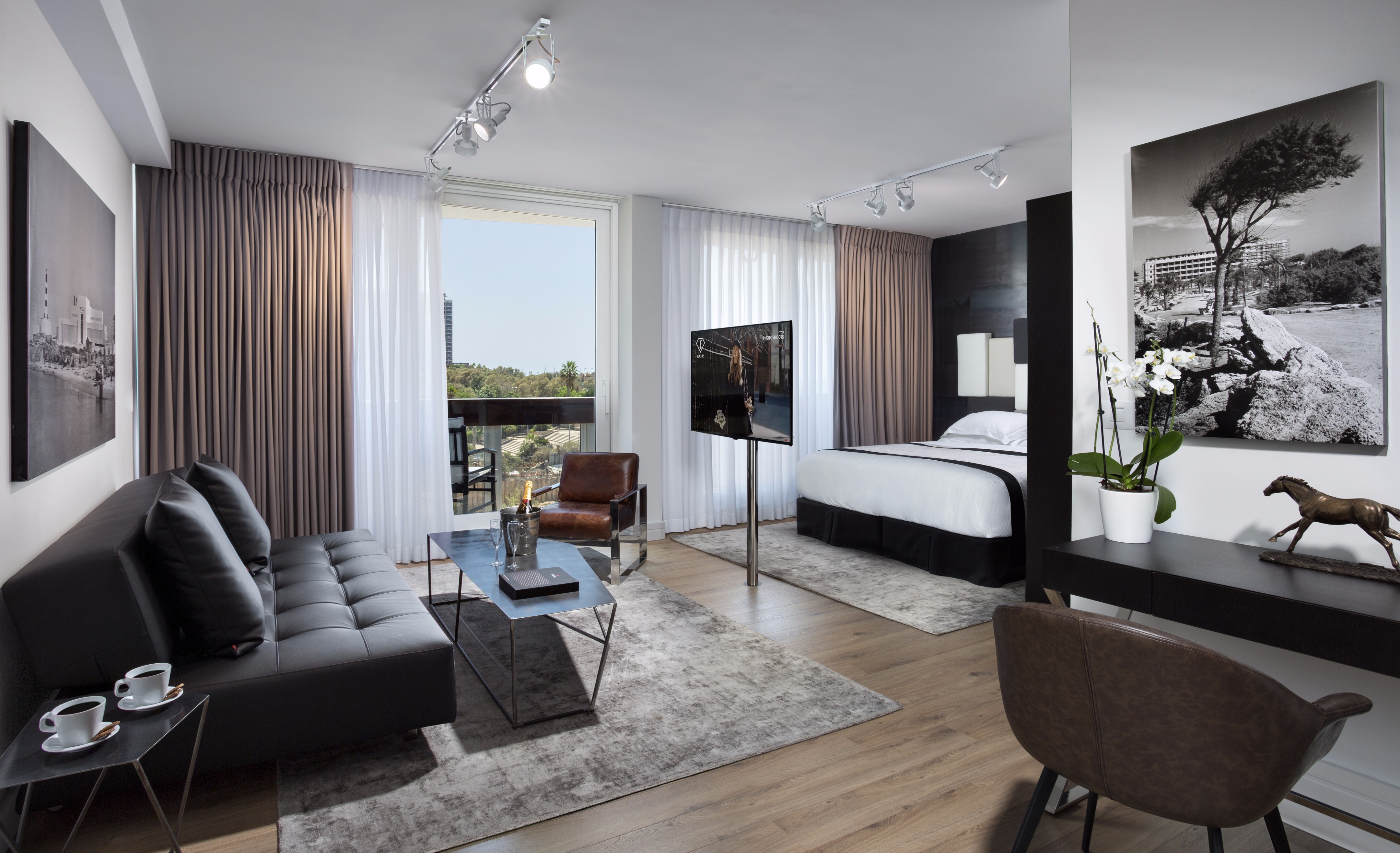 亚历山大酒店总统套房-50