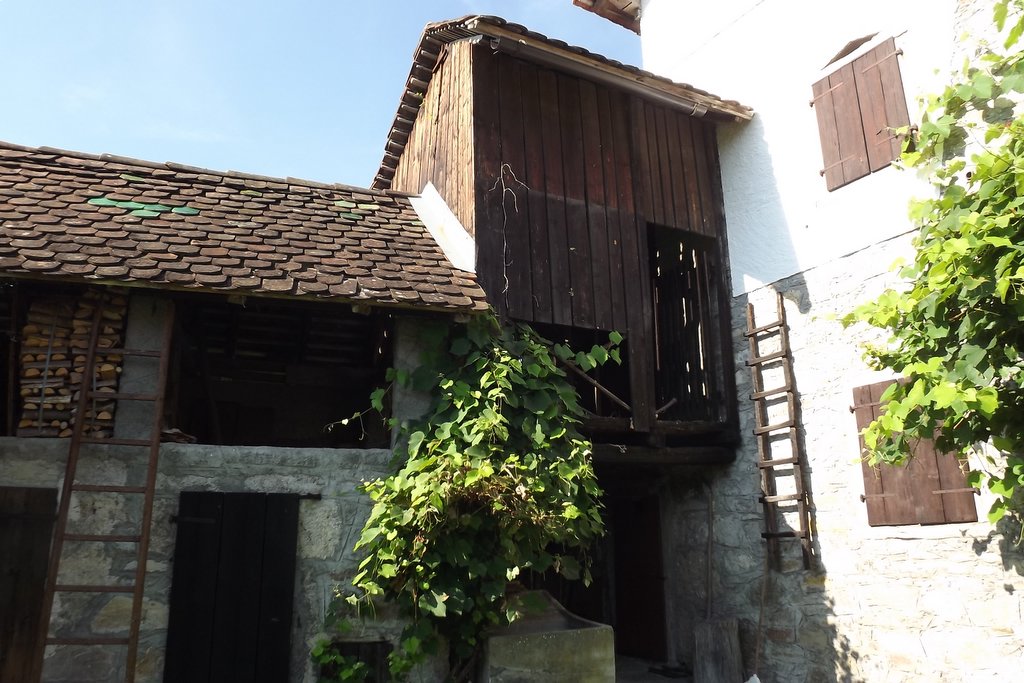 百年老屋的再生之旅 | 现代与传统的完美融合-13