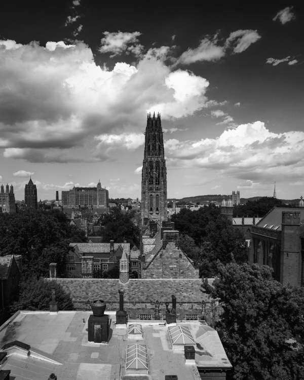 纽黑文耶鲁大学艺术画廊-7