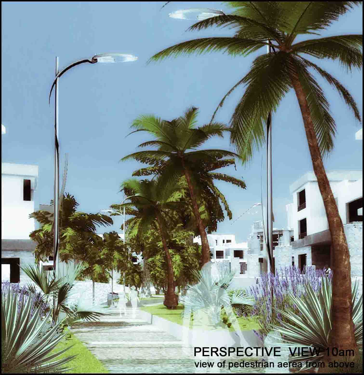 2015 年未实现的埃及开罗城市公园规划-0