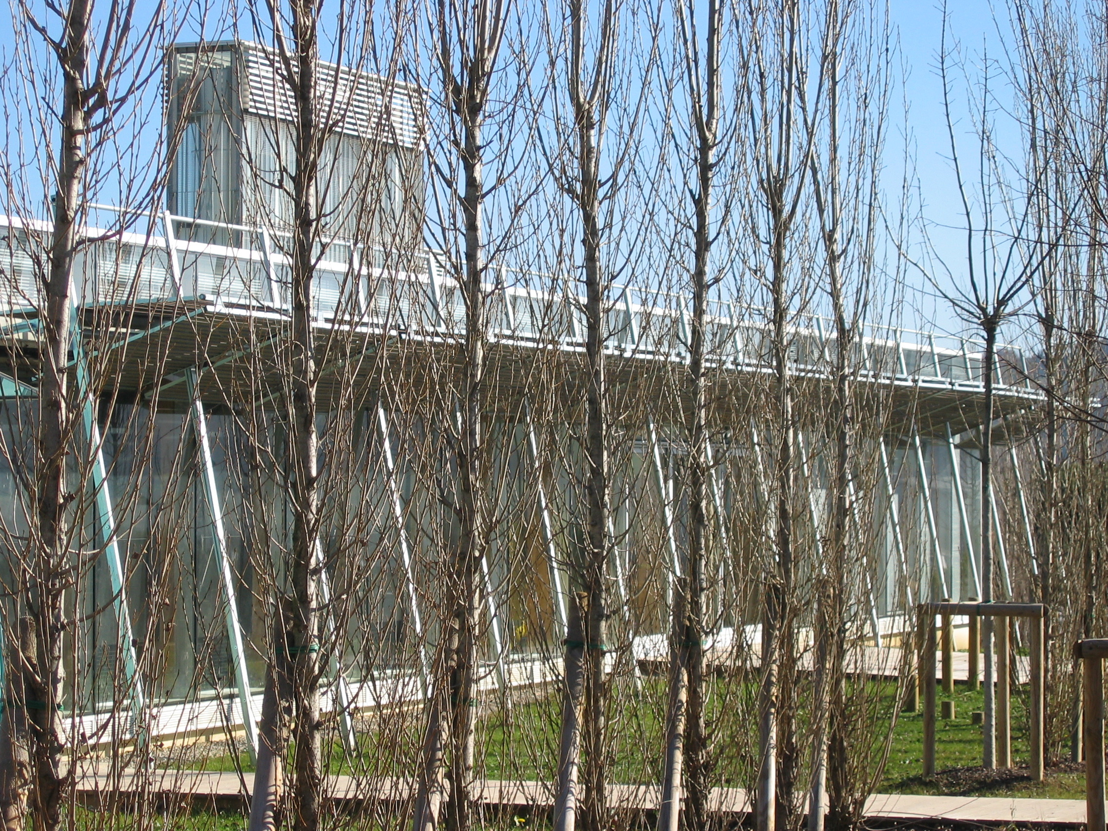 生态幼儿园 · 自然与建筑的共生-9