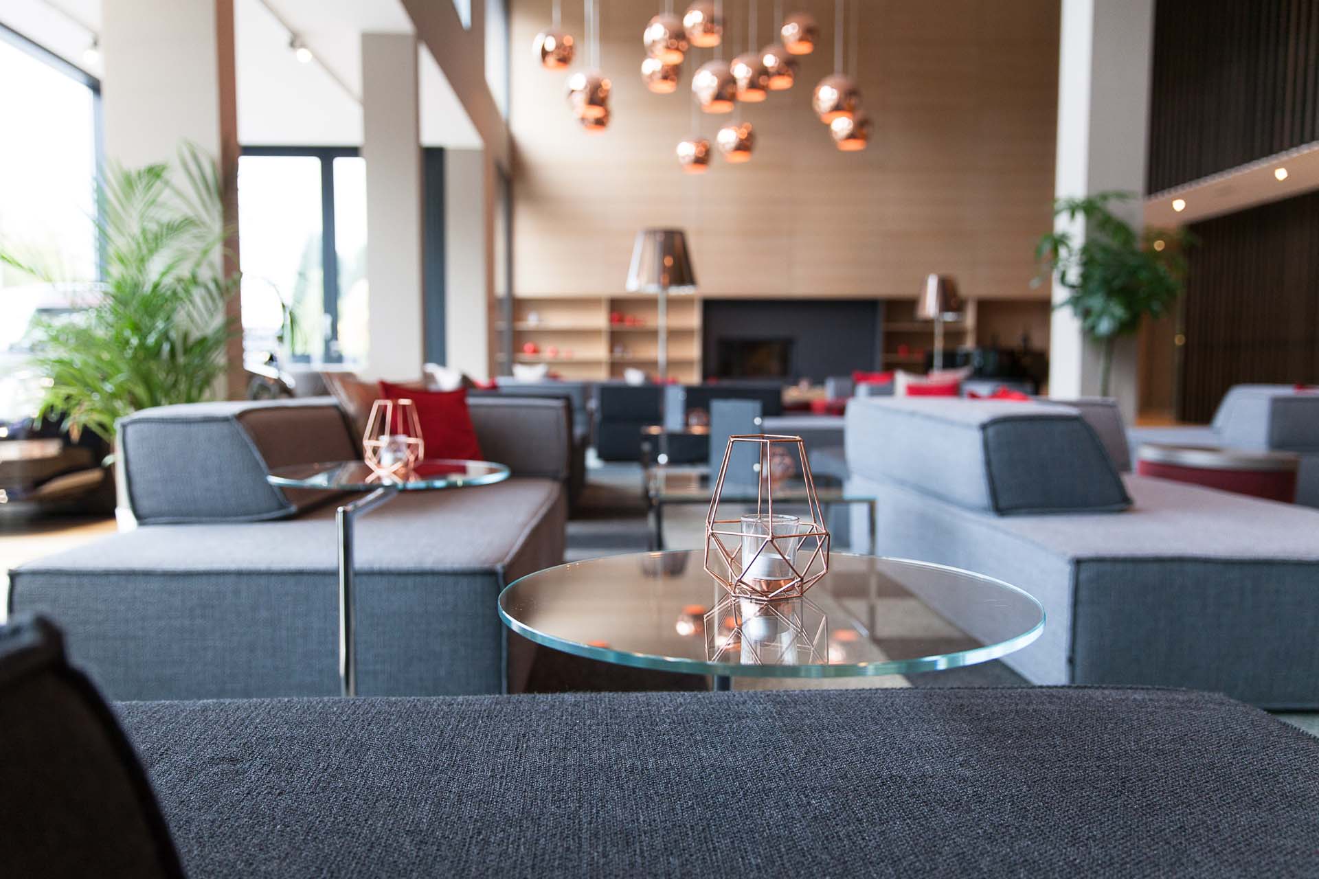 酒店“变色龙”大厅设计-0