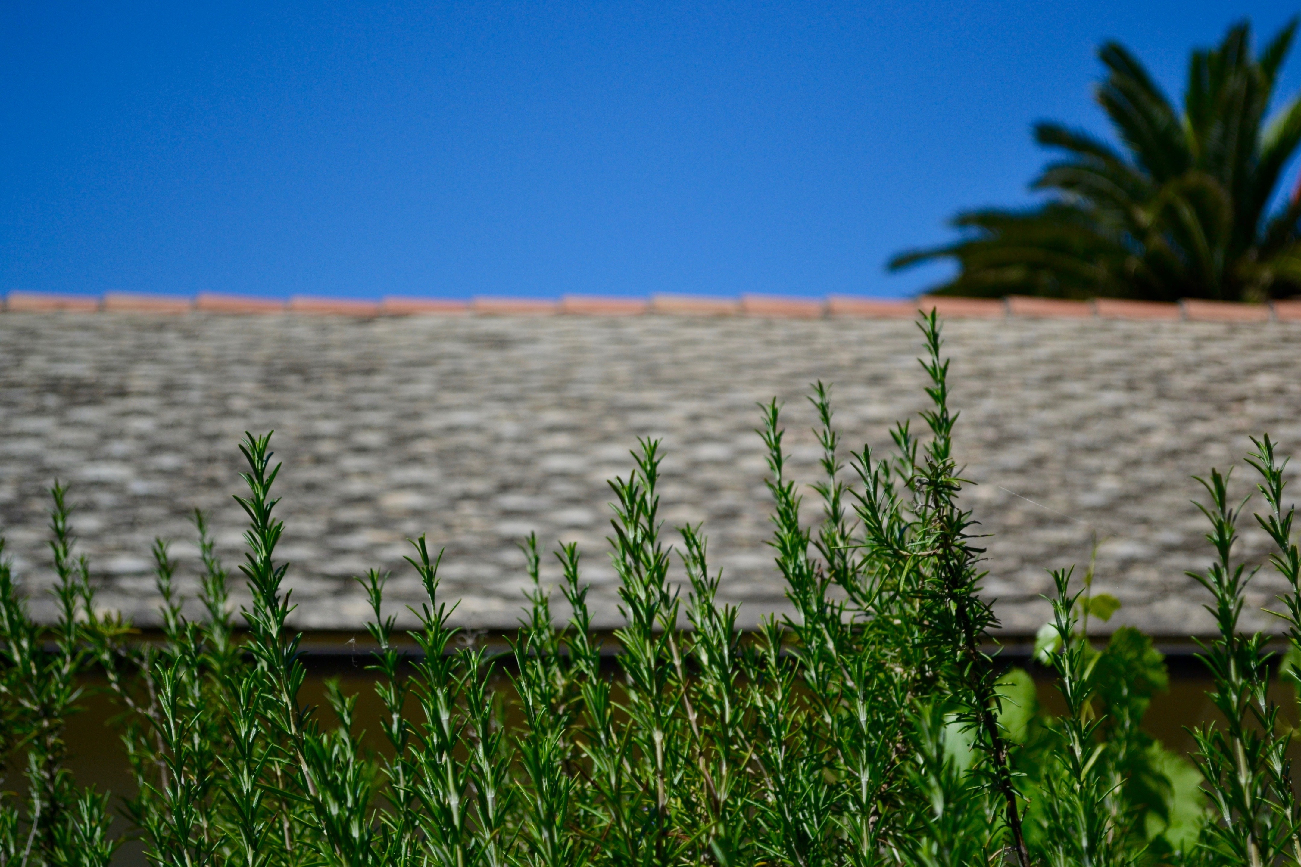 阳光之屋 | 意大利海滨别墅翻新记-5