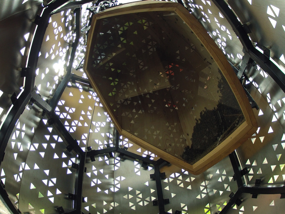 蜂巢城市:电梯 B-51