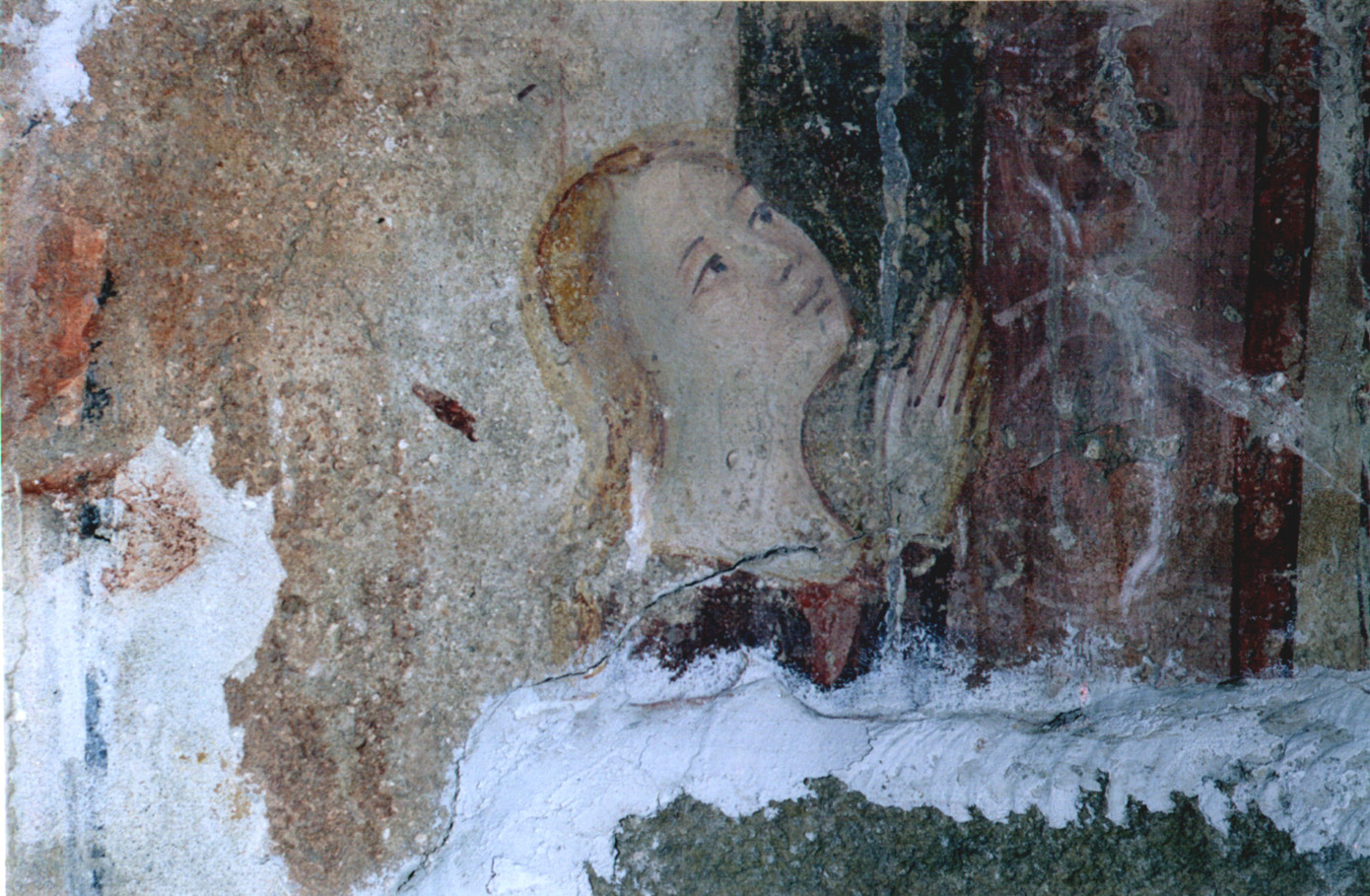 圣斯蒂芬大教堂的再生-26