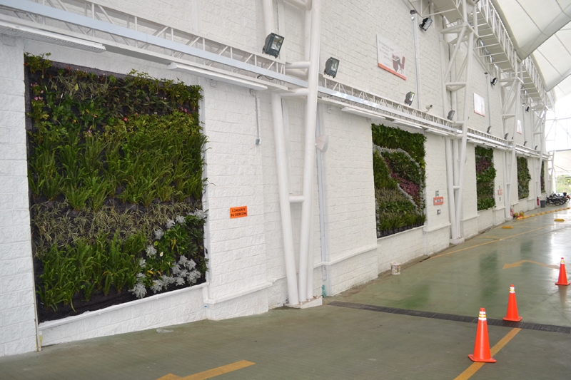 哥伦比亚 Ibague 泛美书店-5