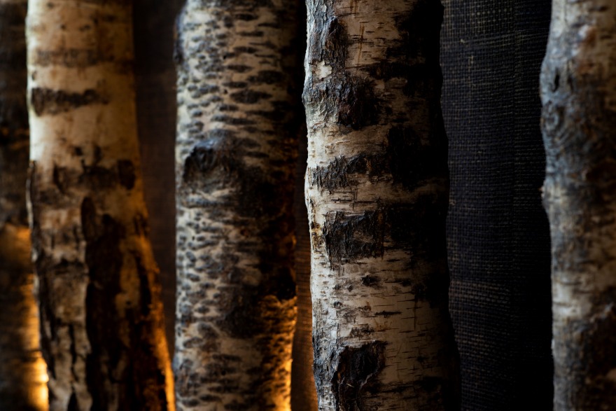 自然之境 | TERRA DEL SOLE 概念餐厅设计-37