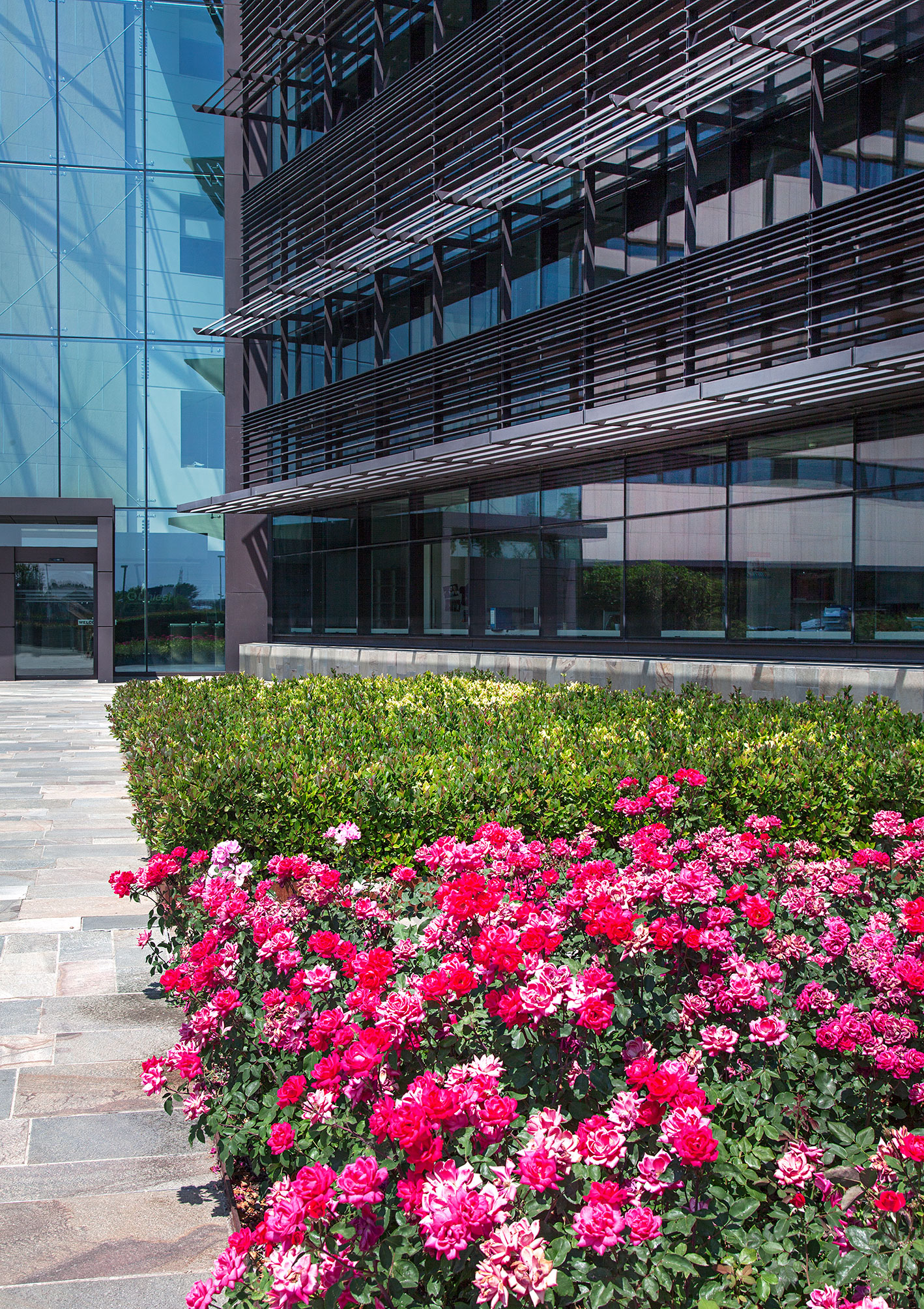 2014 年意大利帕尔马企业总部室内设计-7