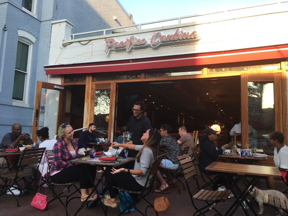 华盛顿 Pacifico Cantino Cafe Restaurant 现代风格室内设计-5