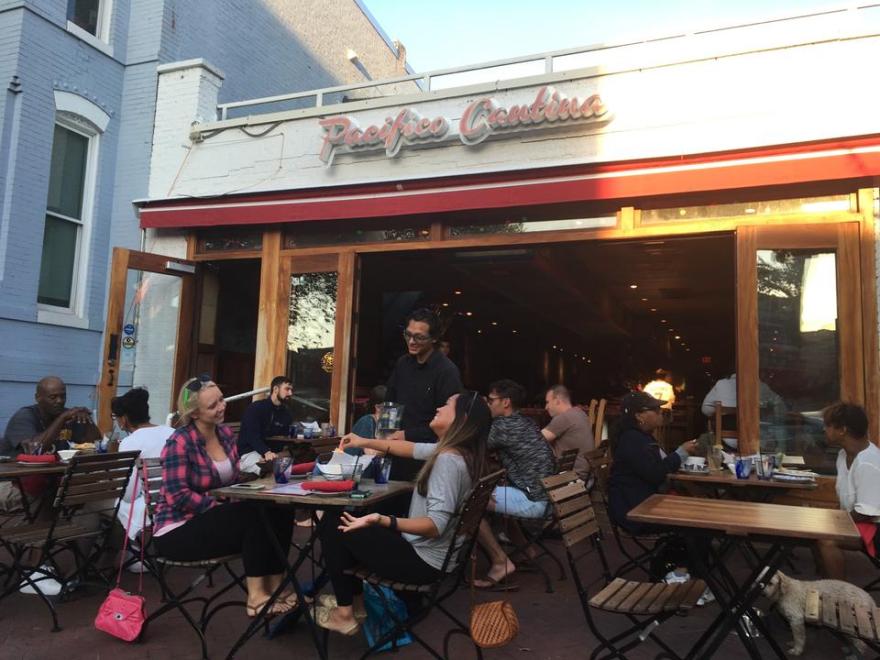 华盛顿 Pacifico Cantino Cafe Restaurant 现代风格室内设计-5