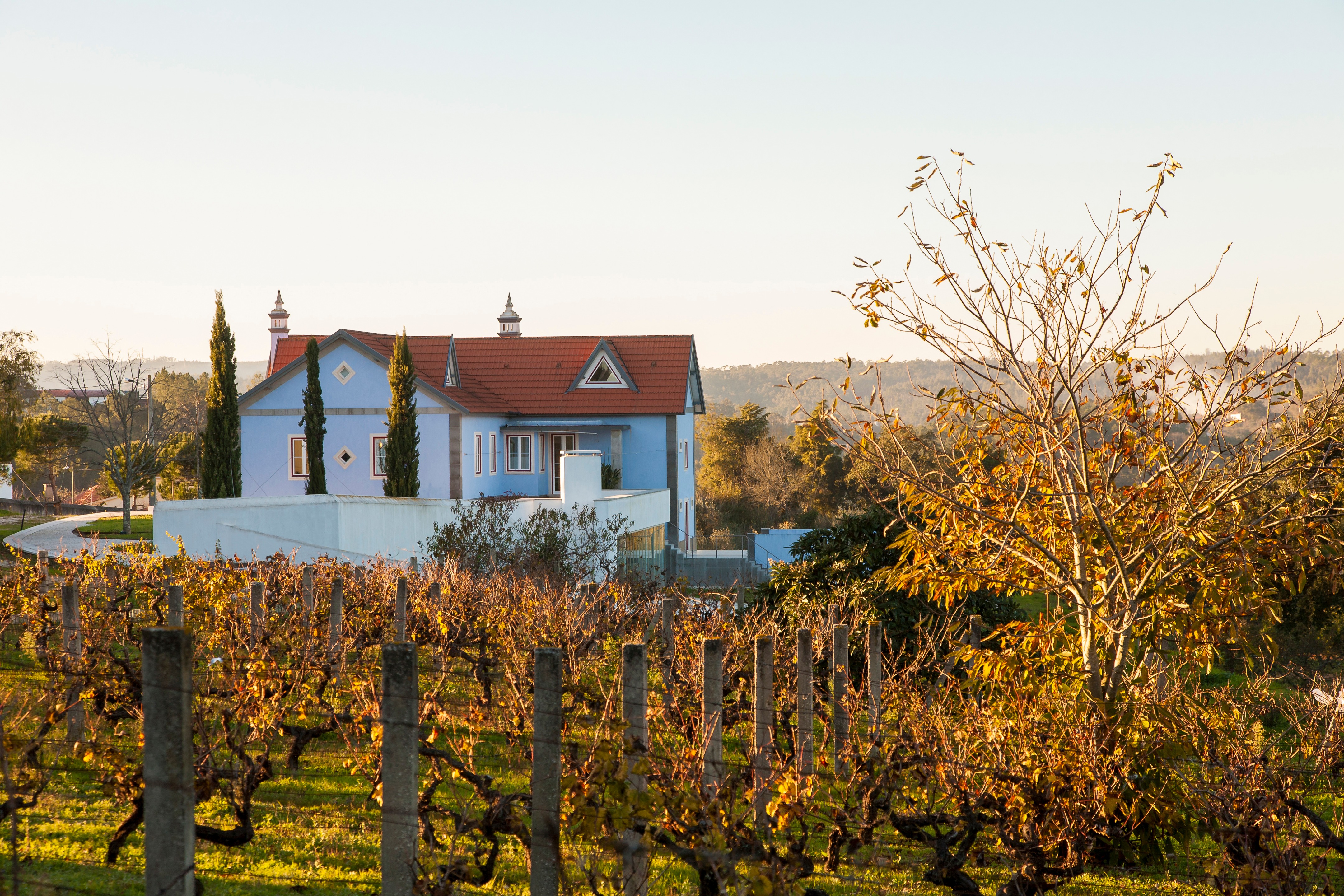 2010 年乡村别墅重建与翻新-0