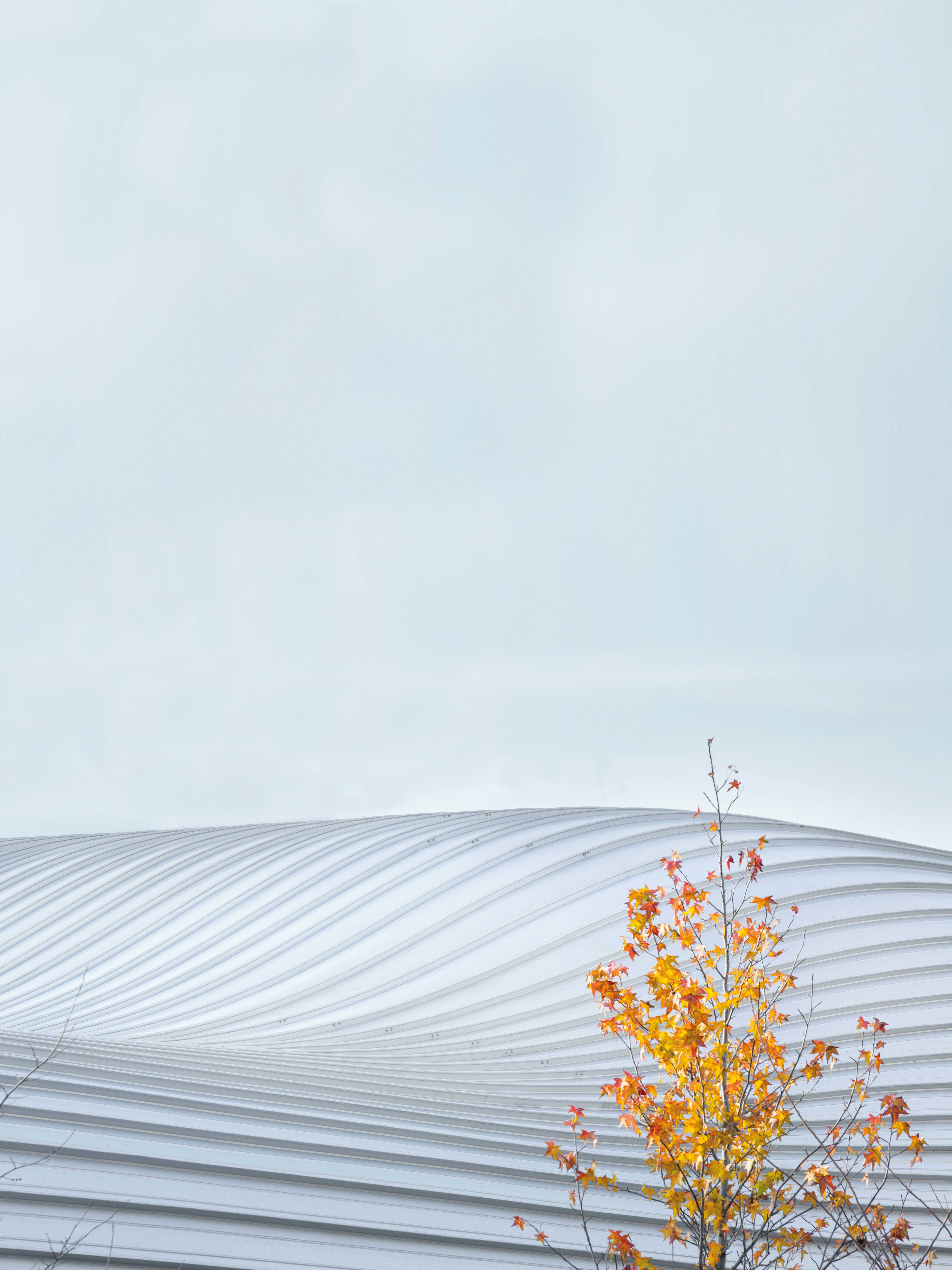 克拉玛特学校群 · 城市景观与教育的和谐融合-37