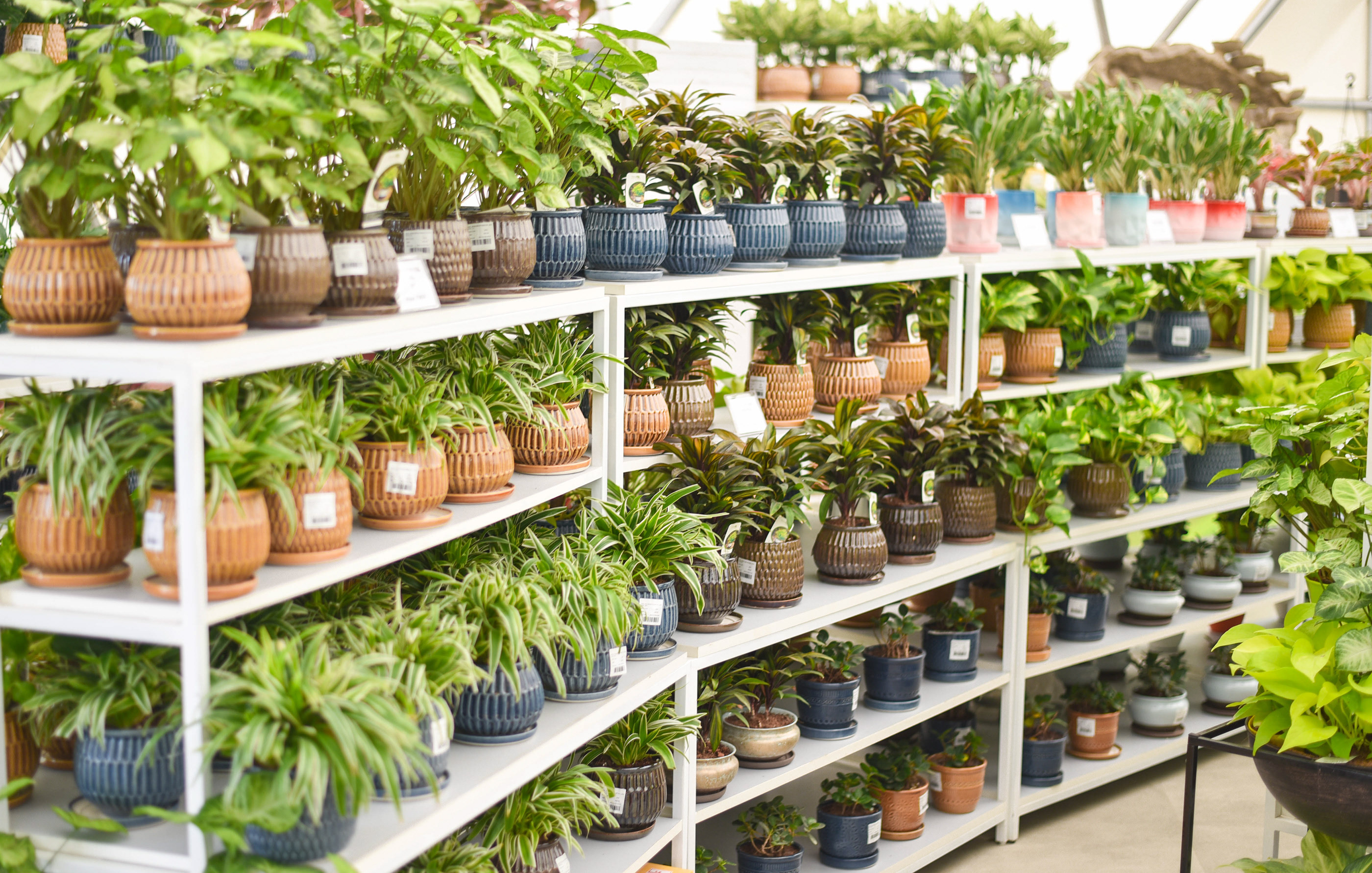 绿色氧吧 NG Studio-7