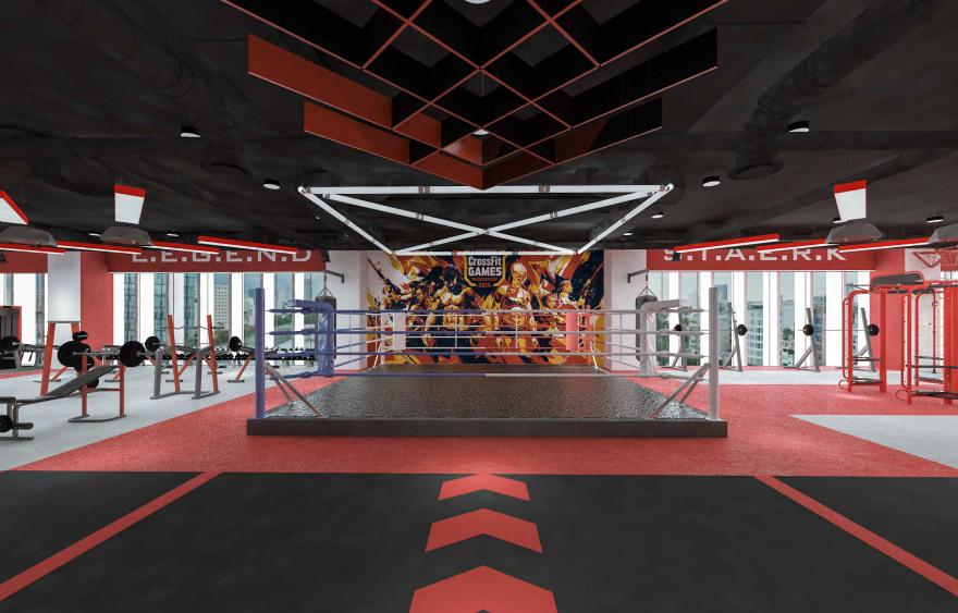 斯塔克体育俱乐部-5