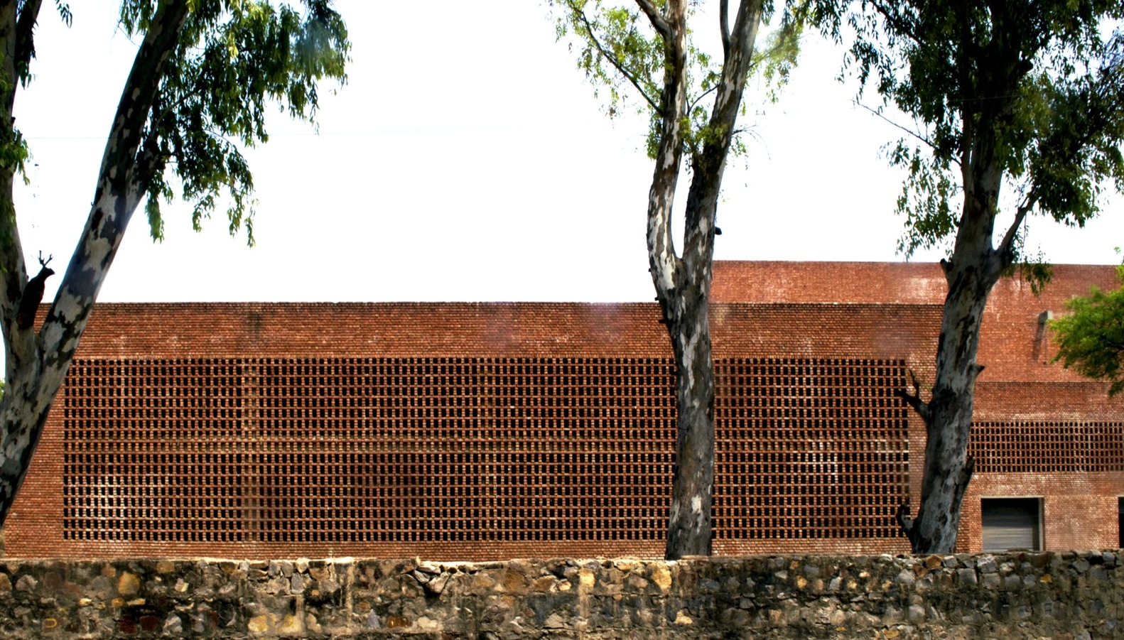 新德里自动化仓储设施-53