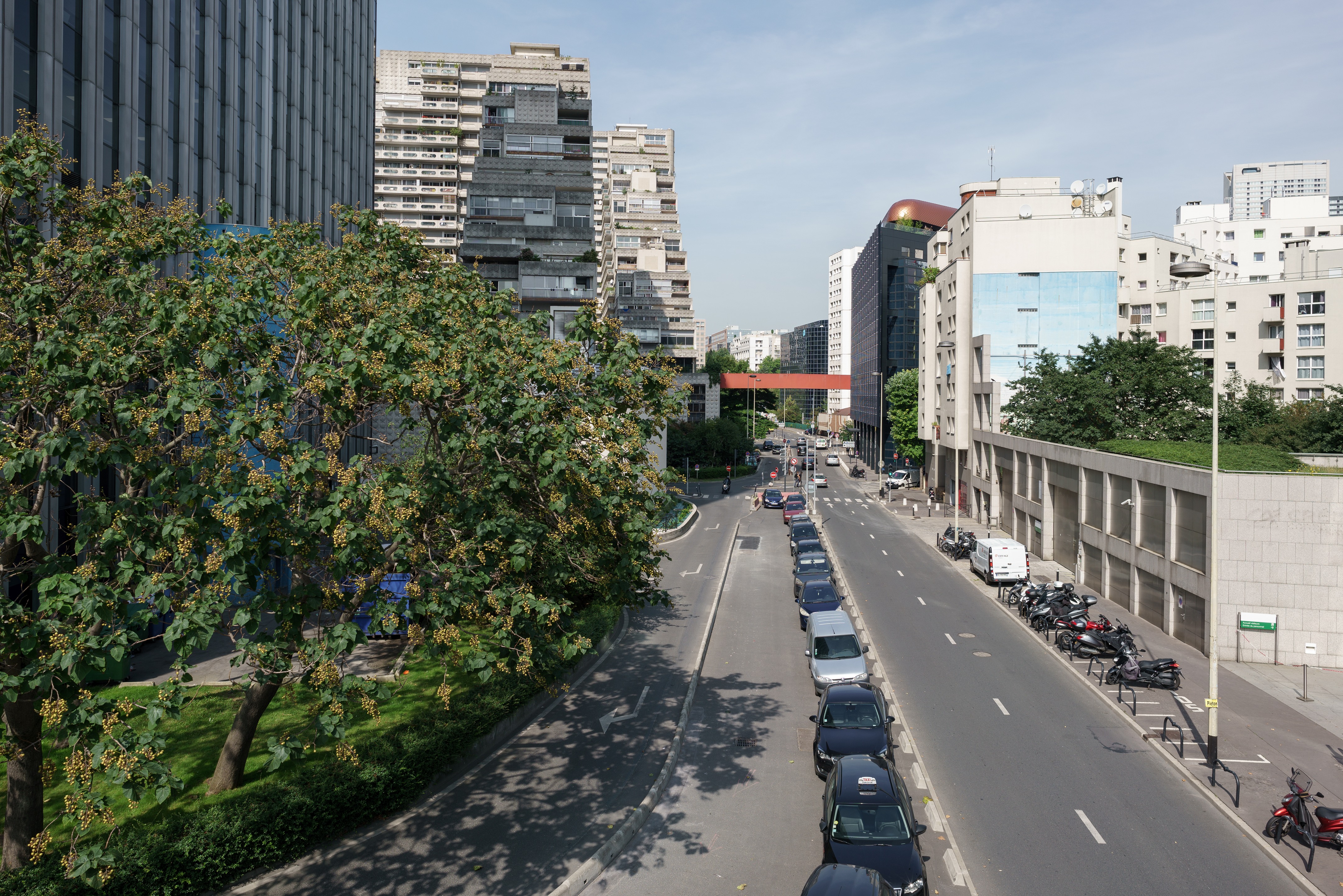 勒·布莱克珀尔或勒·黑珍珠-1