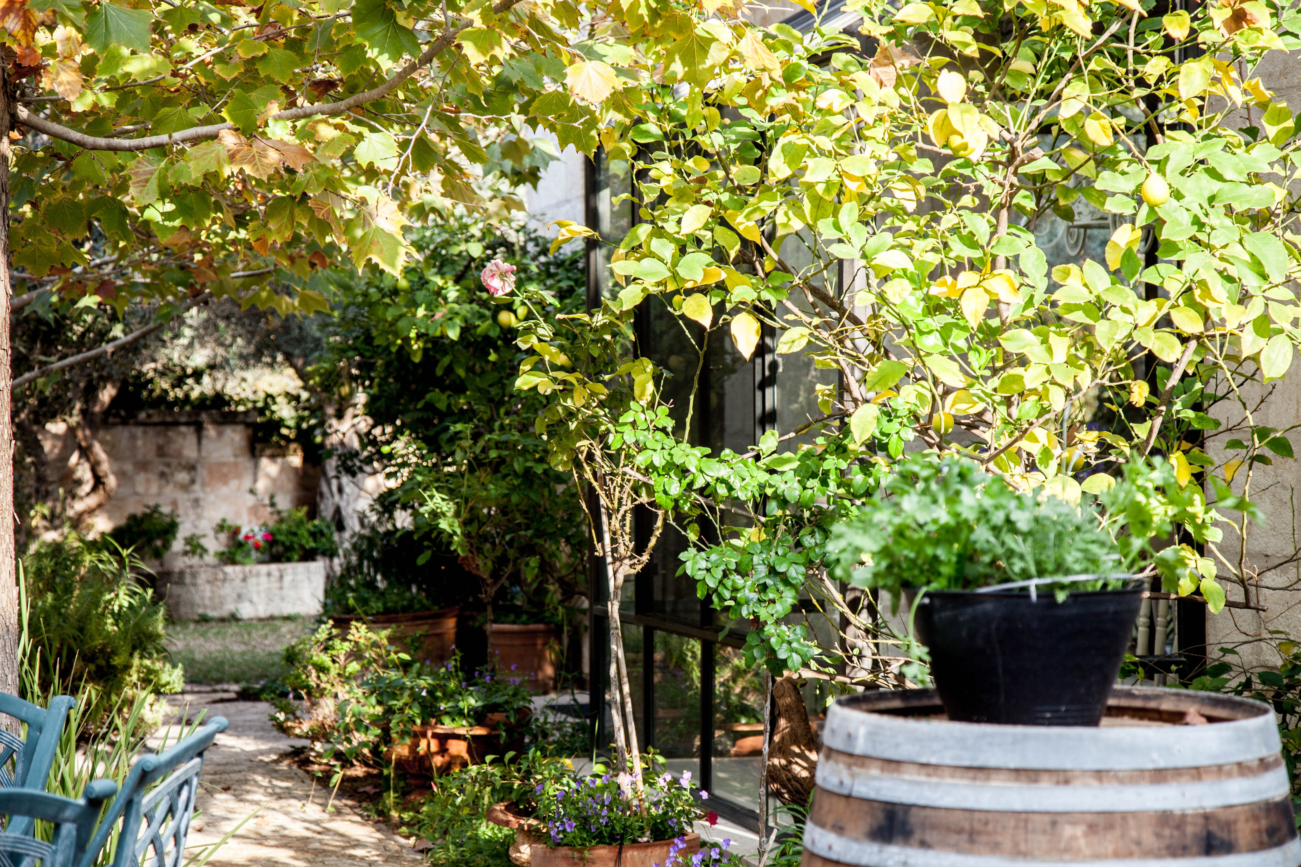 Carmel 山间的自然之家-63