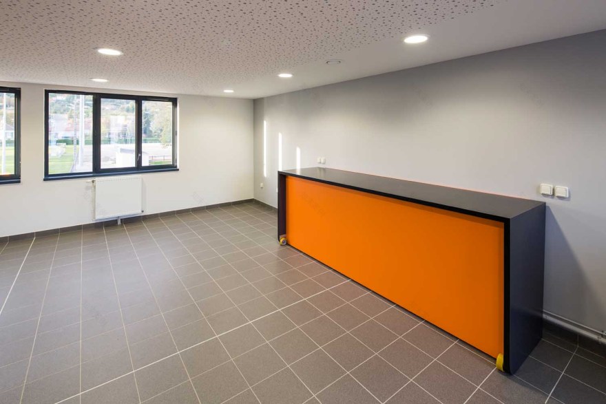 圣马塞尔林卡里尔体育馆修复-43