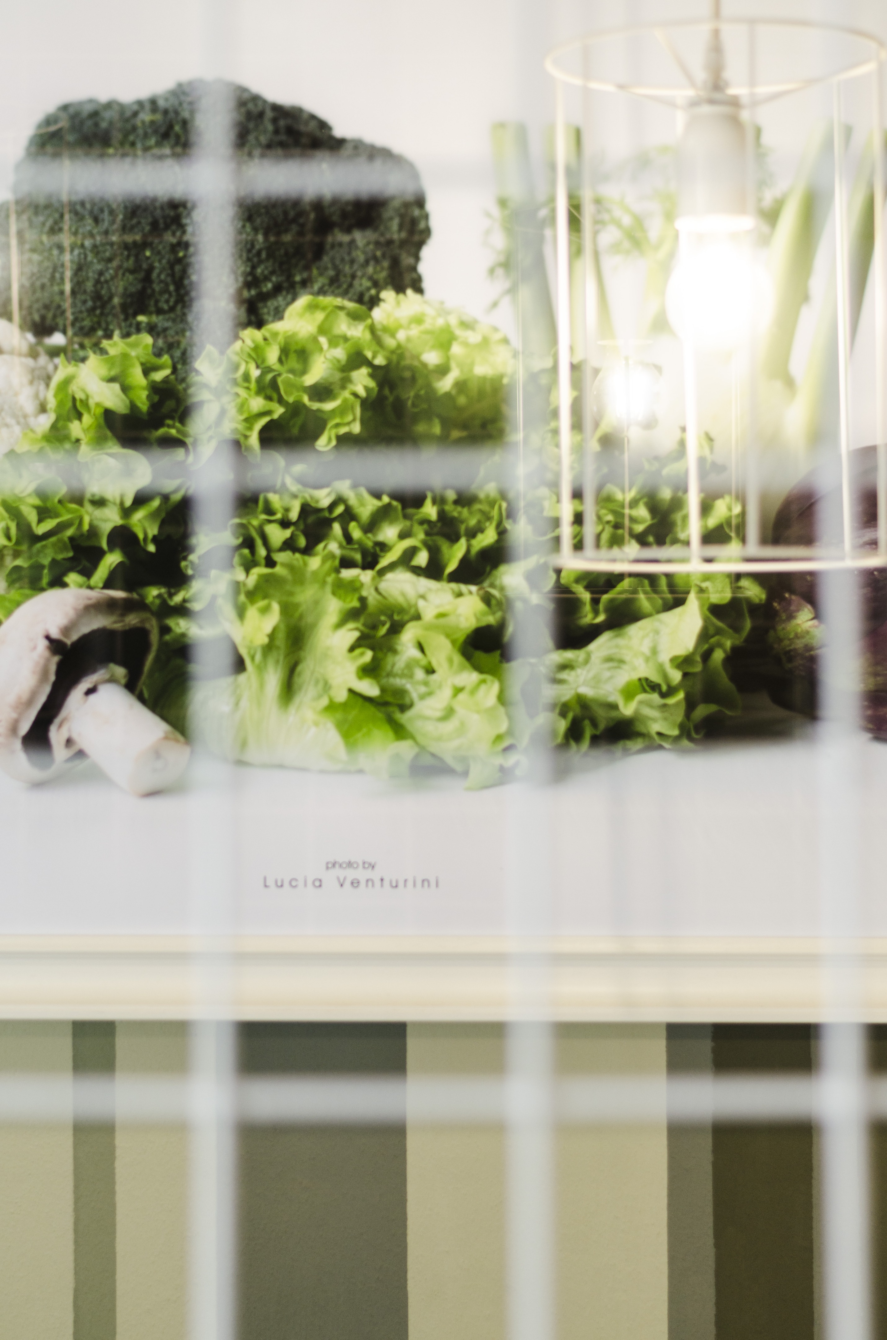 历史悠久的意大利餐厅“Rina_Saletta”翻新记-8