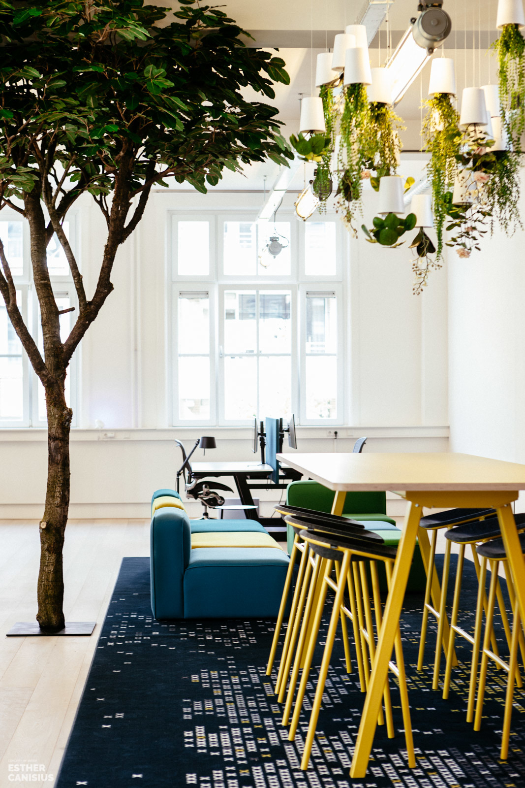 荷兰 Imkey 办公室 | 古典建筑中的现代绿意空间-2