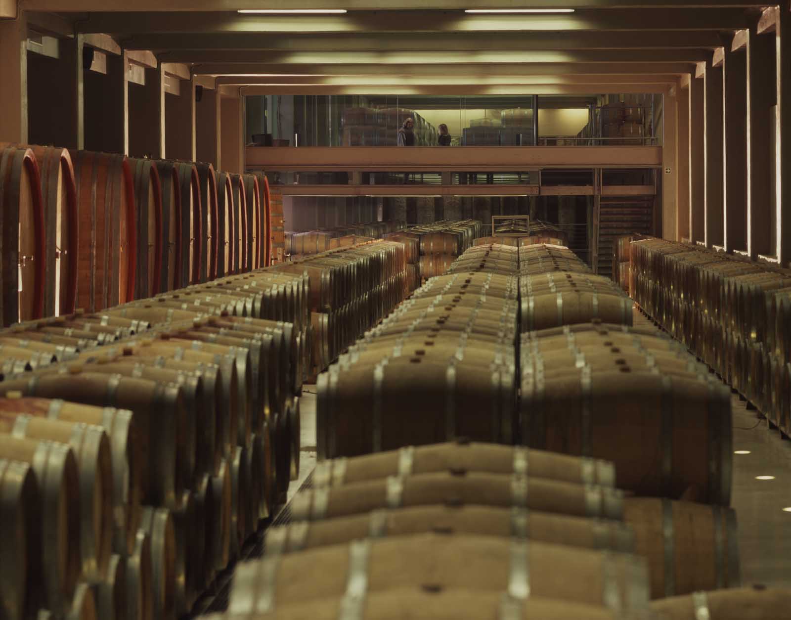 Feudi di San Gregorio 酒庄-10